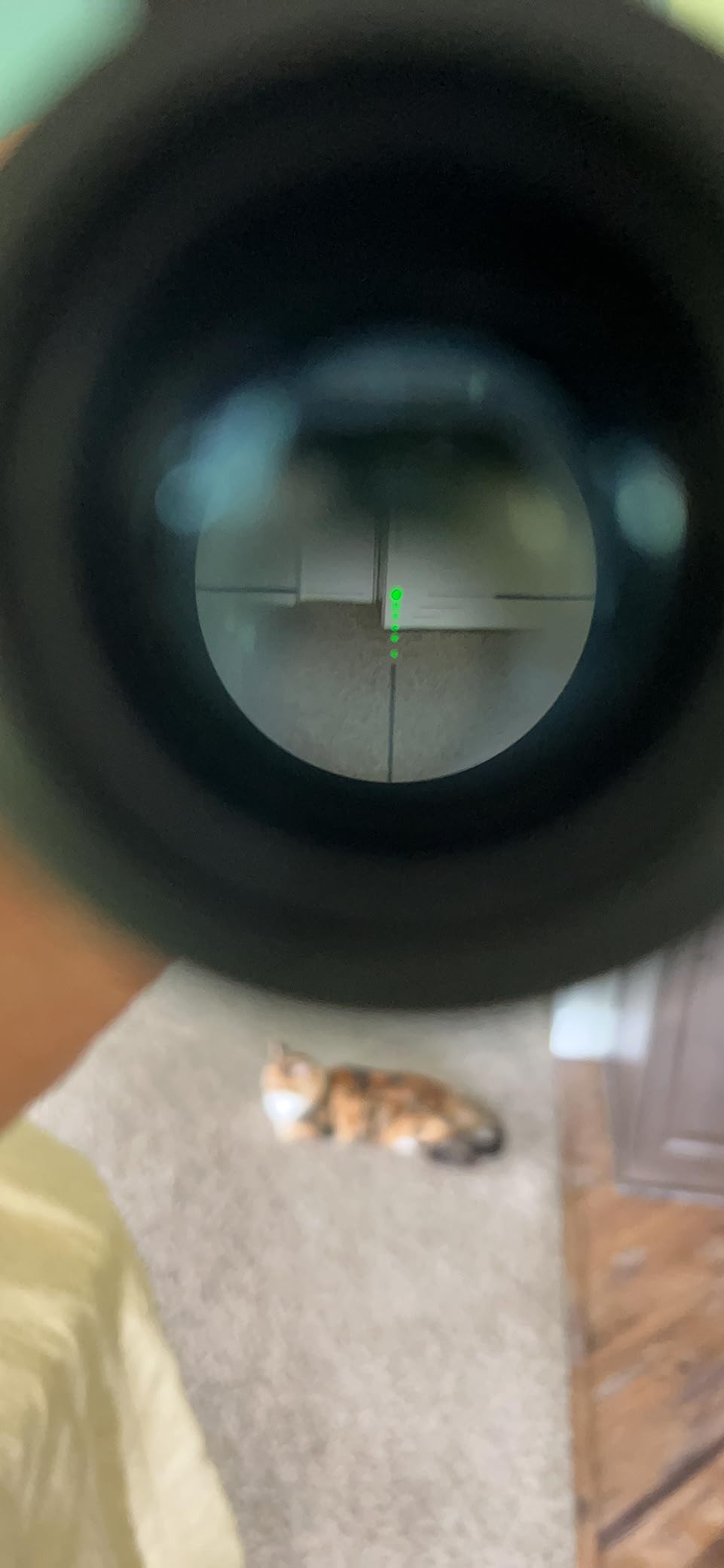 CVLIFE 4x32 Crossbow Scope, Red Green Illuminated Compact Crossbow Scopes for Hunting 20-100 Yards, Circles and Rangefinder Etched Glass Reticle Optic customer photo 1