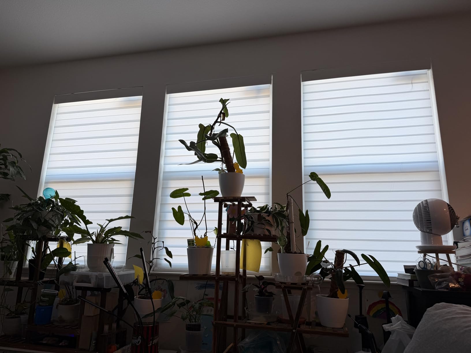 DENFOON Motorized Zebra Blinds, Solar Powered Dual Layer Automatic Shades with Remote Control, Rechargeable Smart Blinds customer photo 1