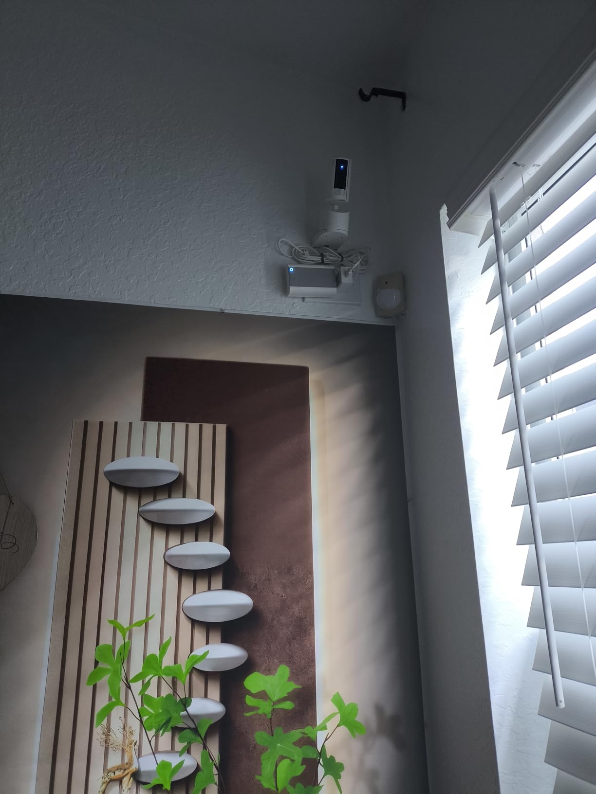 Ring Pan-Tilt Indoor Cam (newest model), See all around your home or business with 360° pan coverage, HD video, plus Two-Way Talk, White customer photo 1