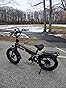 Jasion X Hunter/PRO Electric Bike for Adults, 1800W/1400W Peak 20'' Fat Tire Foldable Ebike, Up to 80/70 Miles Range, UL2849 Certified customer photo 2