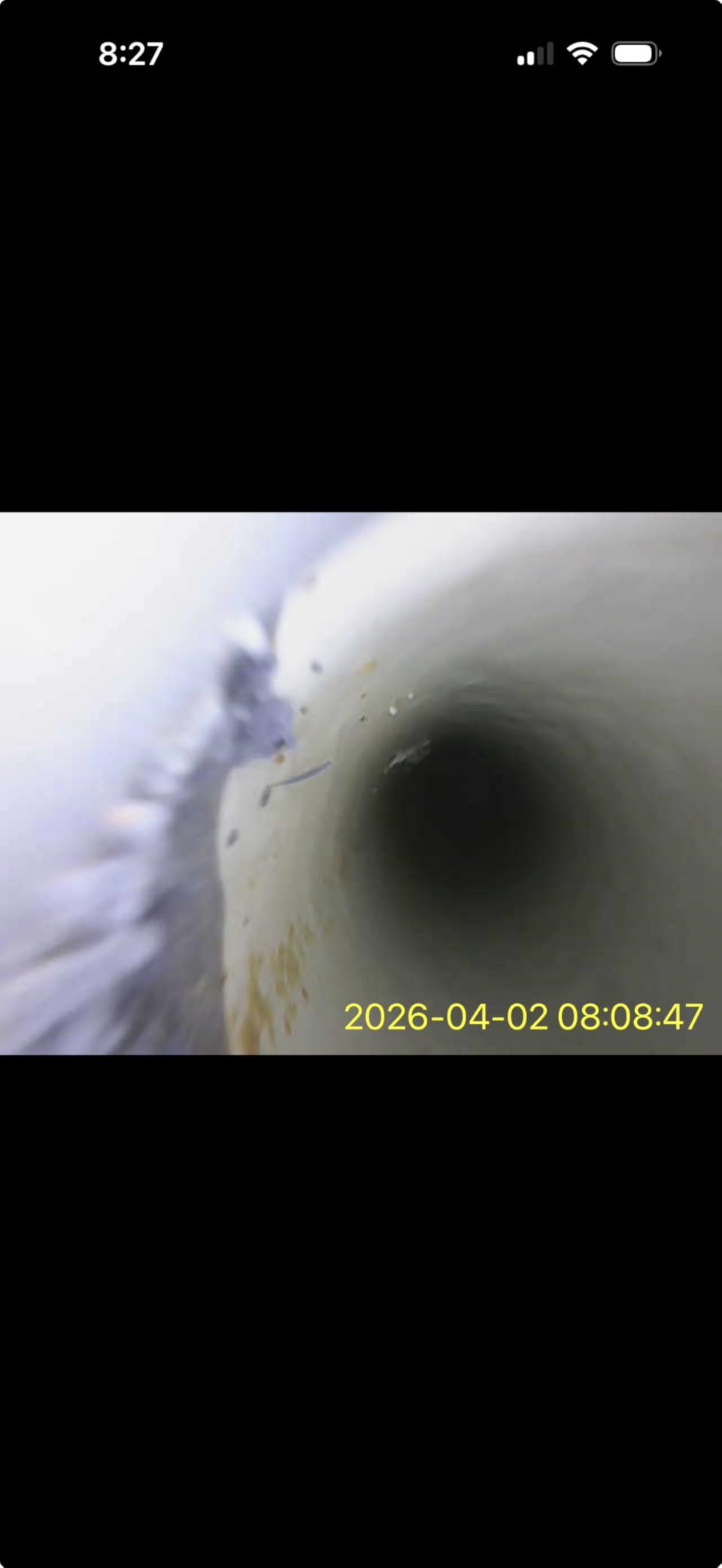 Dual-Lens Endoscope Camera with Light, 1920P HD Borescope with 8+1 Adjustable LED Lights, IP67 Waterproof 16.5FT Semi-Rigid Snake Cord Inspection Camera for iPhone, iPad and Android Phone (Type C) customer photo 1