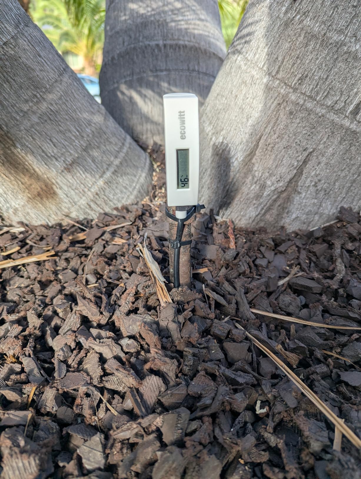 ECOWITT WH51L Soil Moisture Sensor with 1m/3.28ft PVC Wire Probe, LCD Display, Needs to Pair with Wi-Fi Gateway, 915 MHz customer photo 2
