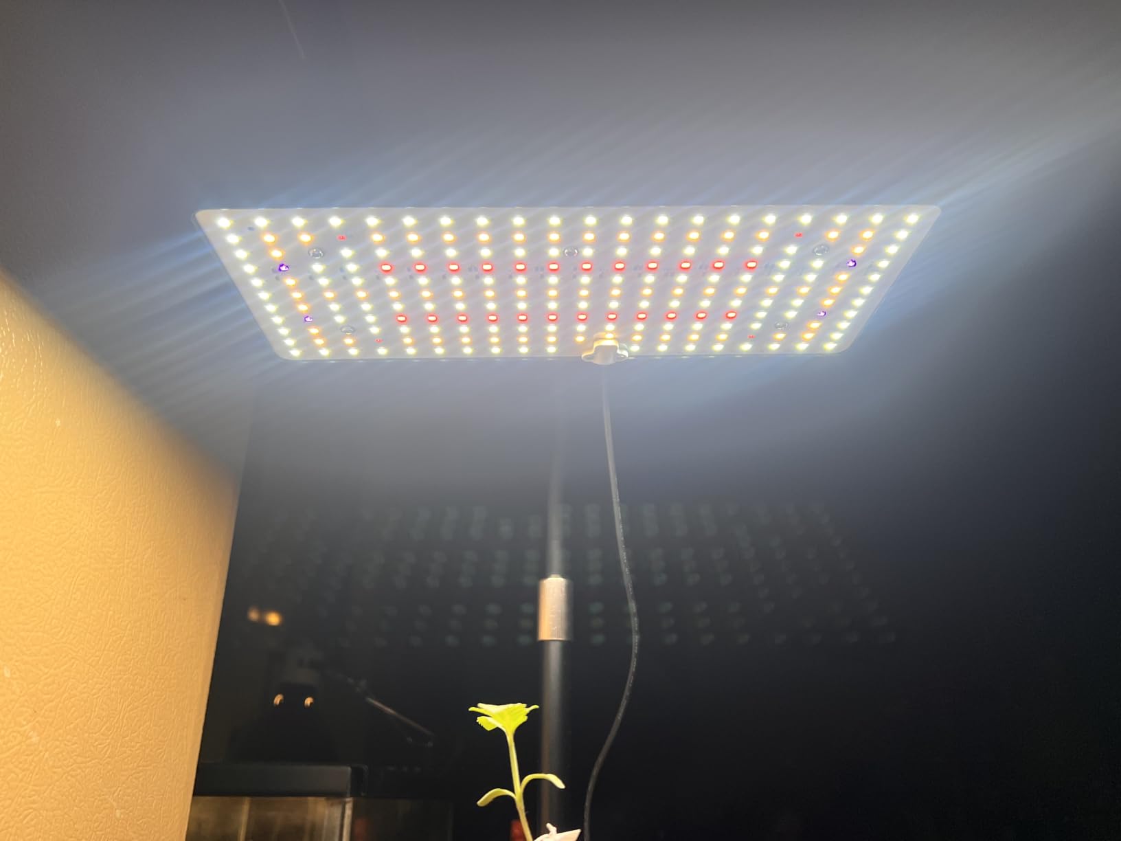 LBW Desk Grow Light, Full Spectrum Plant Light for Indoor Plants, Grow Lamps with 4/8/12H Timer, 10