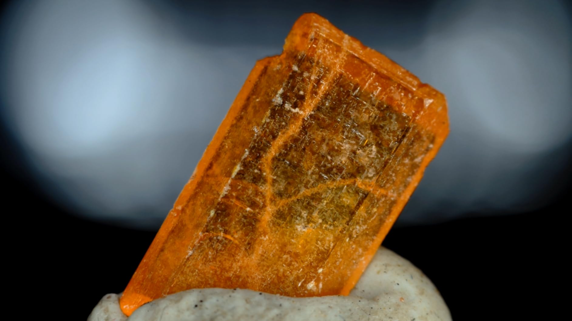 AVerMedia HDMI 2.1 Internal PCIe Capture Card for Streaming and Recording 4K60 with Ultra-Low Latency on PS5, PS4 Pro, Xbox Series X/S, Xbox One X, Switch Games - GC575 Live Gamer 4K 2.1 customer photo 1