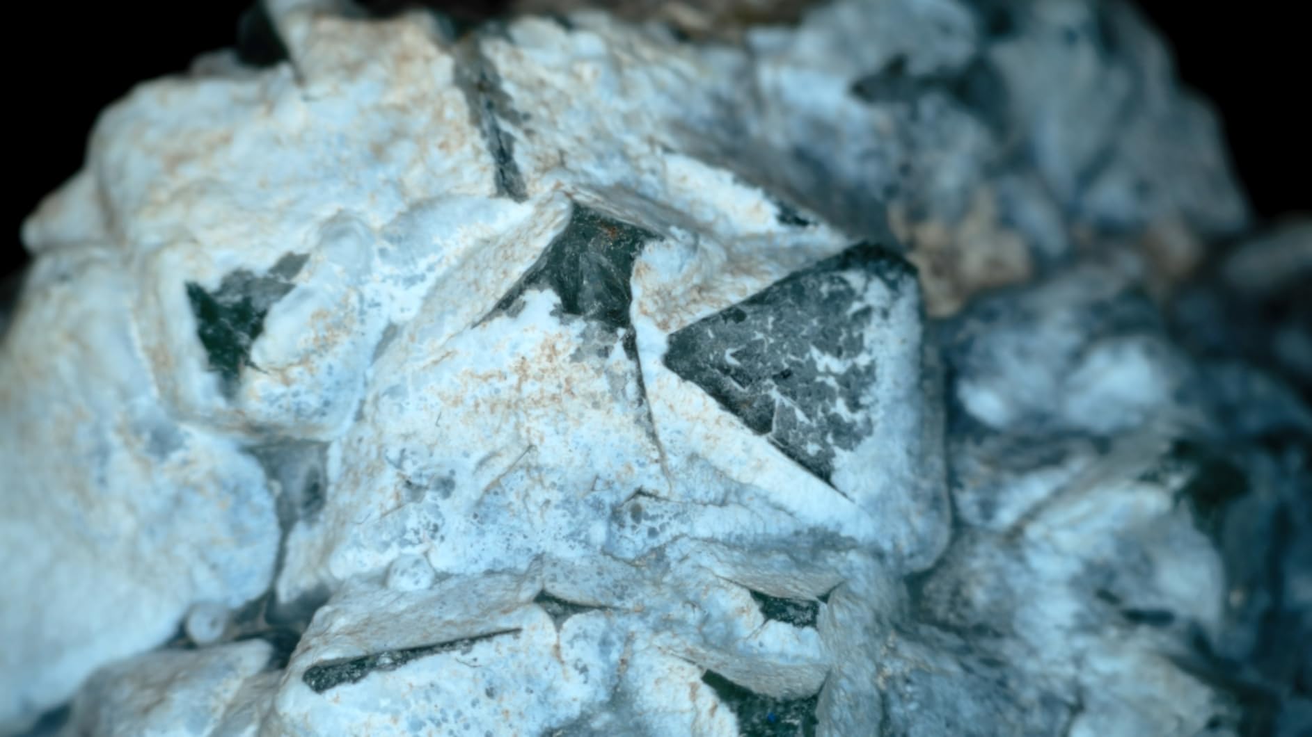 AVerMedia HDMI 2.1 Internal PCIe Capture Card for Streaming and Recording 4K60 with Ultra-Low Latency on PS5, PS4 Pro, Xbox Series X/S, Xbox One X, Switch Games - GC575 Live Gamer 4K 2.1 customer photo 2