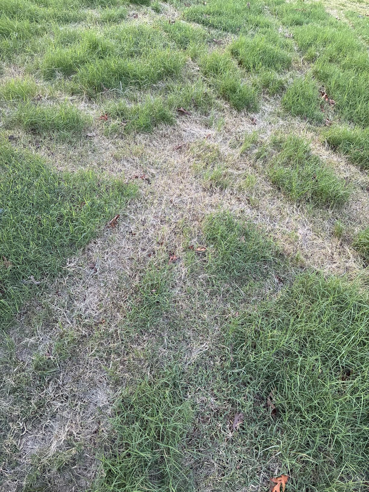 LawnMaster OcuMow Perimeter Wire Free Robot Lawn Mower Cuts Small Lawns 1000-2000 Square Feet with Optical Navigation, Obstacle Avoidance, Low Noise and No Go Function customer photo 2