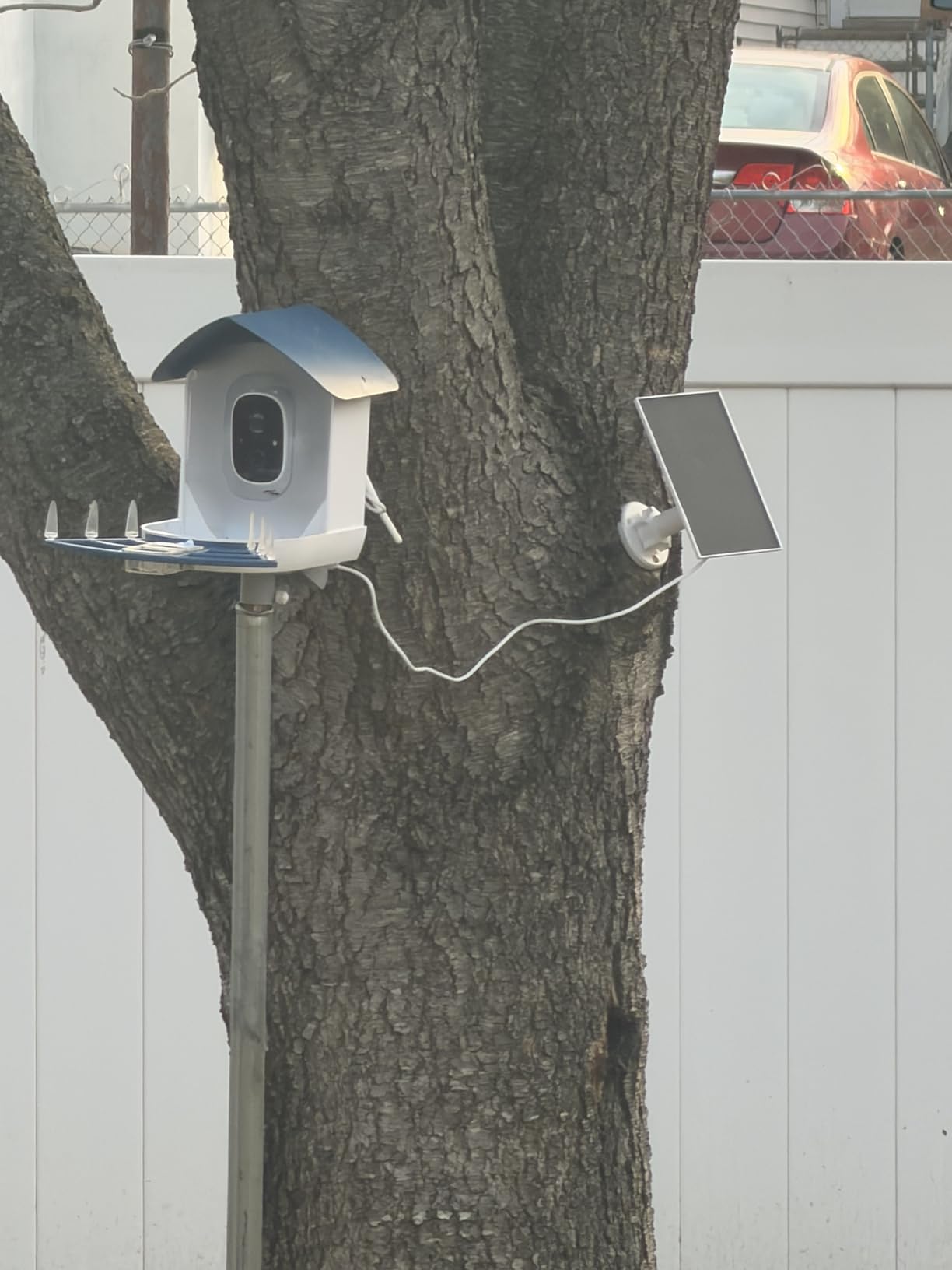 Bird Feeder with Camera, AI Identify Birds Species, Smart Bird Camera with Solar Powered, Auto Record FHD Birds Video in Backyard, Instant Notifications, Ideal Gift for Family and Bird Lovers, Navy Blue customer photo 2