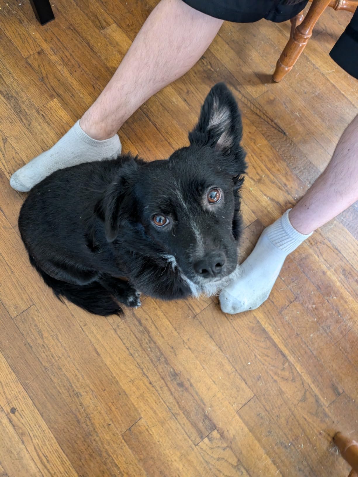 Google Pixel 8a - Unlocked Android Phone with Google AI, Advanced Pixel Camera and 24-Hour Battery - Obsidian - 128 GB customer photo 2