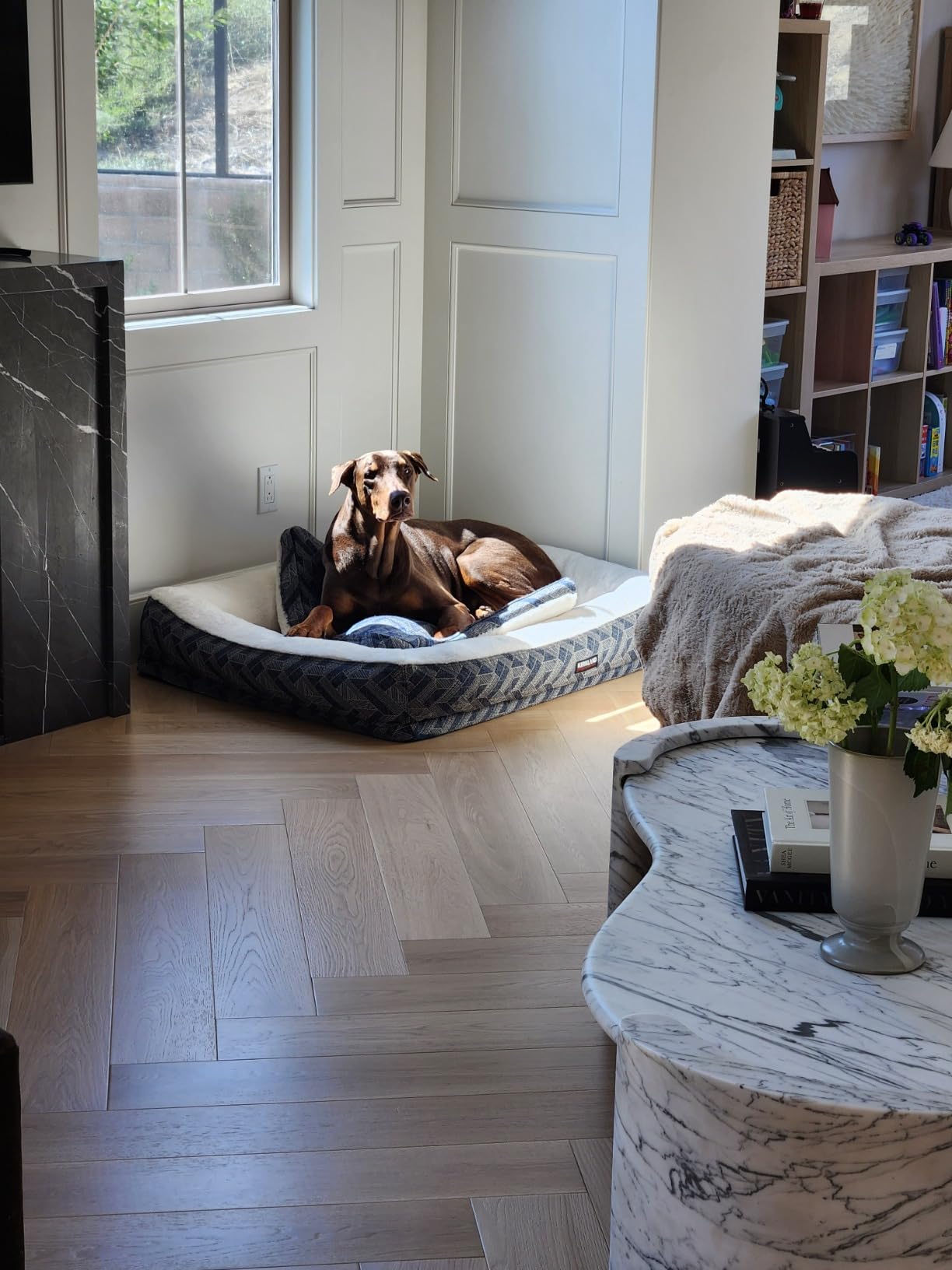 ECOVACS DEEBOT T30S Combo Robot Vacuum and Mop, All-in-One Cleaning Hub, 11000Pa, ZeroTangle Technology, TruEdge Adaptive Edge Mopping, Dual Self-Emptying, Hot Water Mop Washing, Auto-Mop Lifting customer photo 1