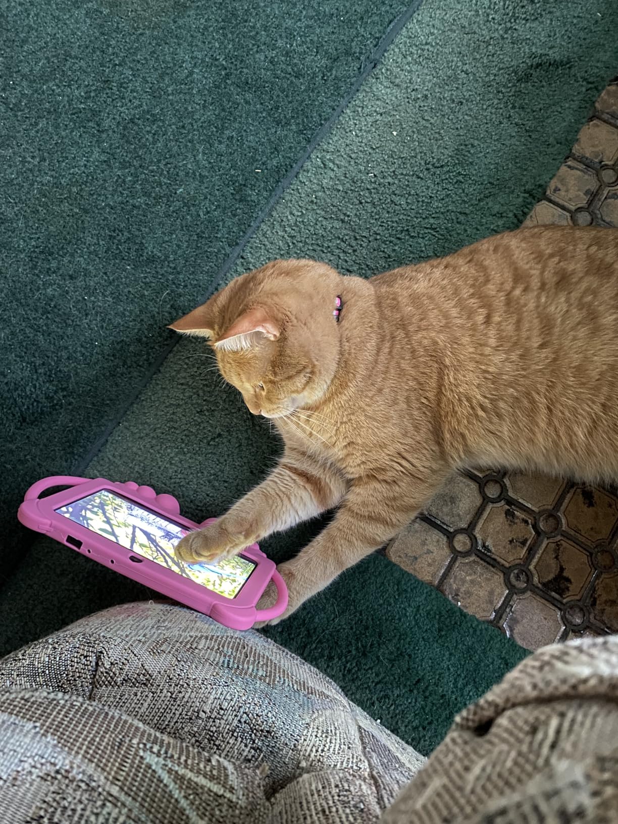 Kids Tablet 7 inch Android 12.0 for Toddler, 4GB RAM 32GB ROM Bluetooth IPS Screen Parental Control Dual Camera Shockproof Case for Educational Games customer photo 2