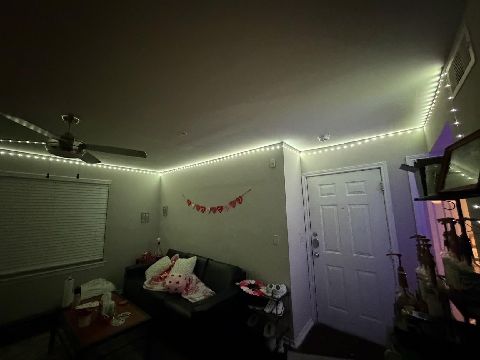 DAYBETTER LED Strip Lights 130ft Lights Strip for Bedroom, Desk, Indoor Room Bedroom Birthday Gifts RGB Decor with Remote and 24V Power Supply customer photo 1