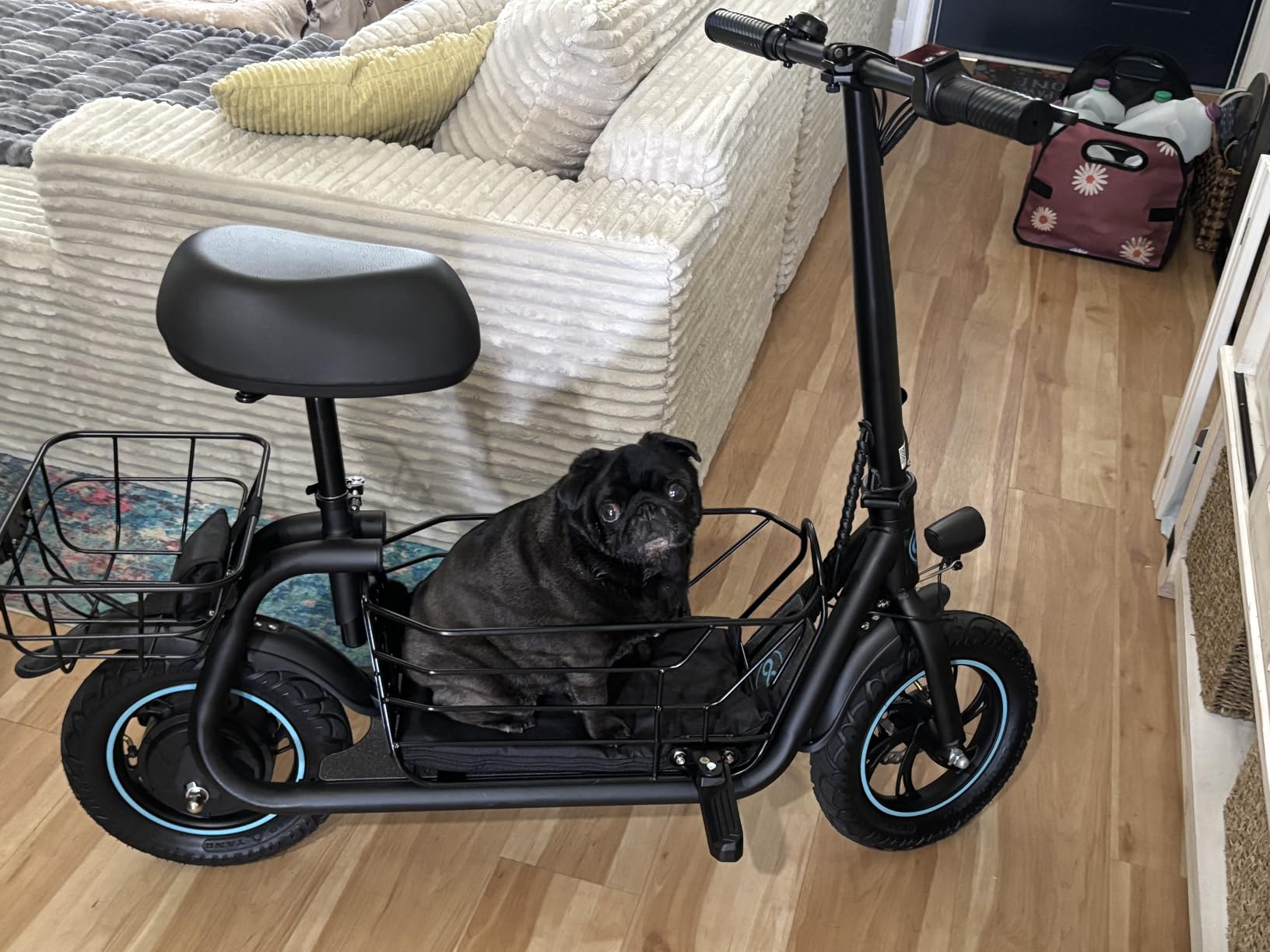 Gyroor Electric Scooter for Adults with Large Pet Basket - Dog-Friendly 550W Motor 19 MPH, 20 Mile Long Range, Foldable Commuter E-Scooter with Comfort Seat for Pets & Groceries customer photo 1