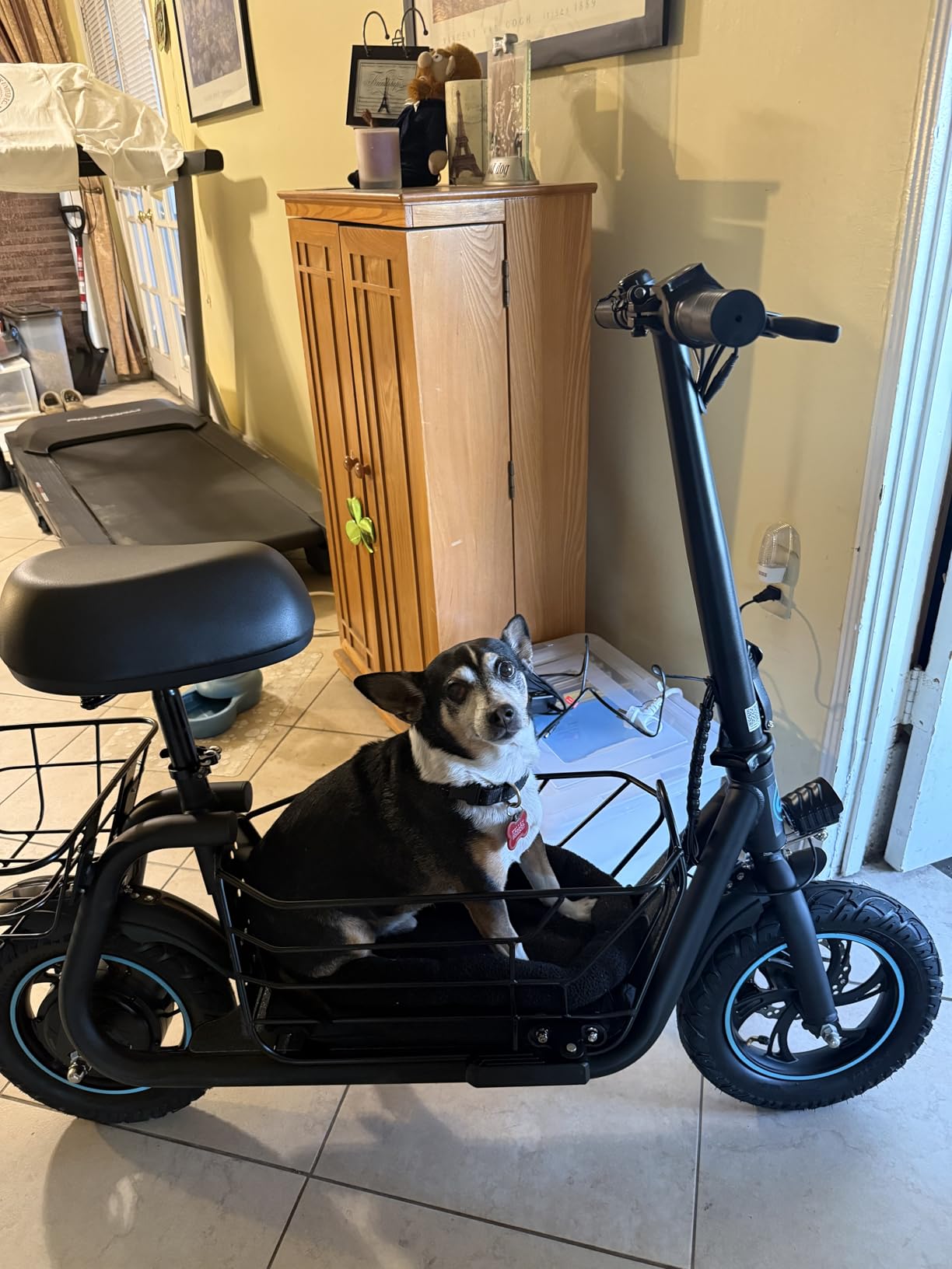 Gyroor Electric Scooter for Adults with Large Pet Basket - Dog-Friendly 550W Motor 19 MPH, 20 Mile Long Range, Foldable Commuter E-Scooter with Comfort Seat for Pets & Groceries customer photo 2