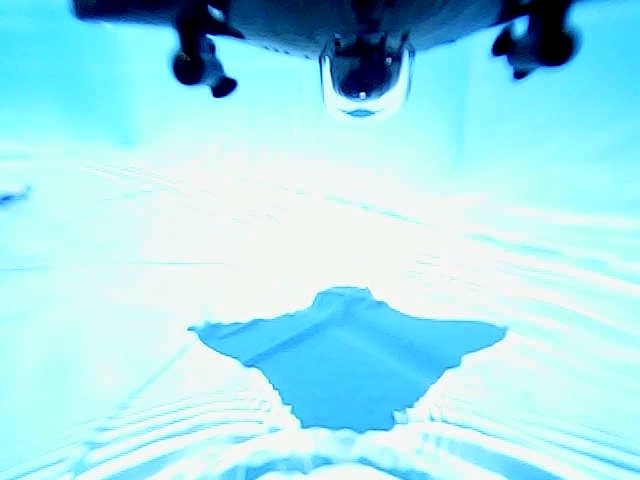 RC Boat Waterproof Mini Equipped with WiFi Camera for Real-time Shooting in Pools and Lakes customer photo 2