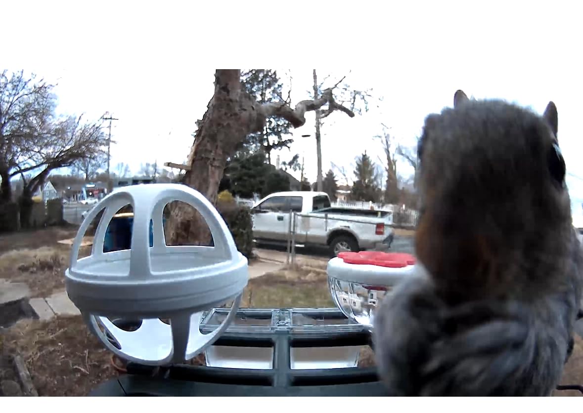 Smart Bird Feeder with Camera Outdoor: Solar Birdfeeder Cam for Outside Garden - 2K HD Live Video Camera AI Recognition Visible Window Auto Capture - Bird Lover Gifts customer photo 2