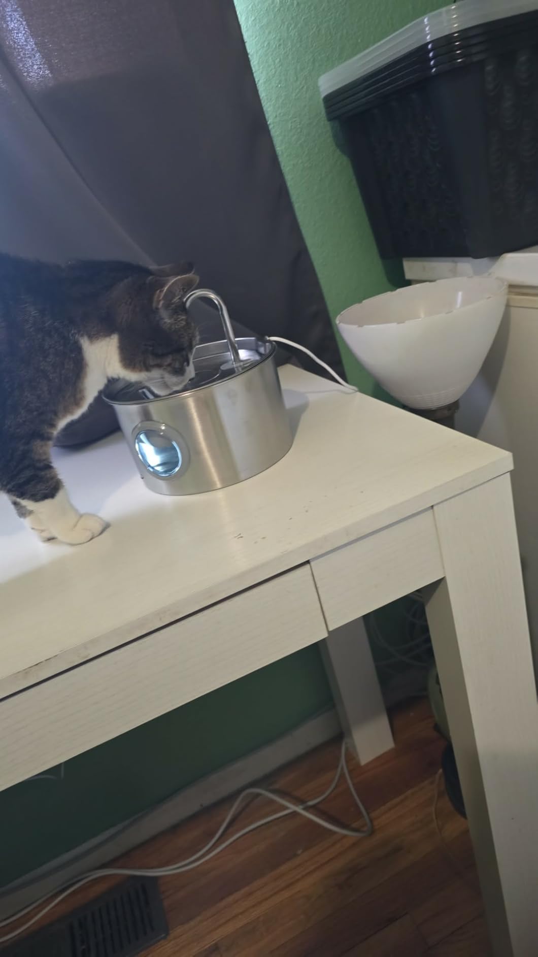 Cat Water Fountain Stainless Steel: 74oz/2.2L Cat Fountain for Drinking customer photo 2