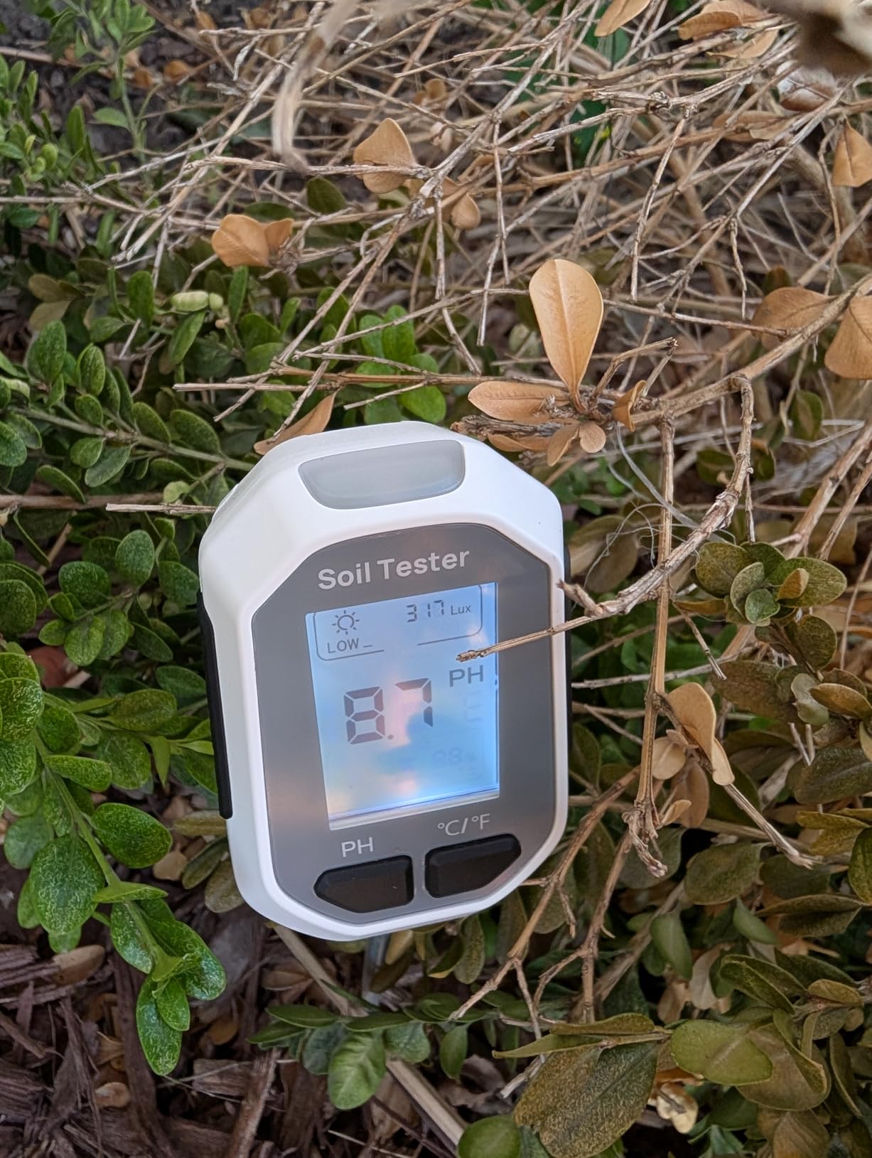 4-in-1 Soil Moisture Meter, Digital Plant Temperature/Soil Moisture Test & PH Meter/Sunlight Intensity, Backlight LCD Display for Gardening, Farming and Outdoor Plants customer photo 2