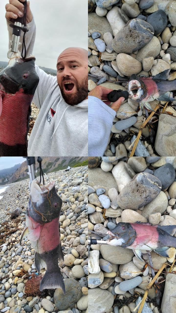 SwellPro FD1+ Fisherman Best Fishing Drone with Bait Release, 4.8 LBS Payload, 1.3KM Range, IP67 Waterproof, Auto Return & Flip, Self-floating, Entry-Level customer photo 1