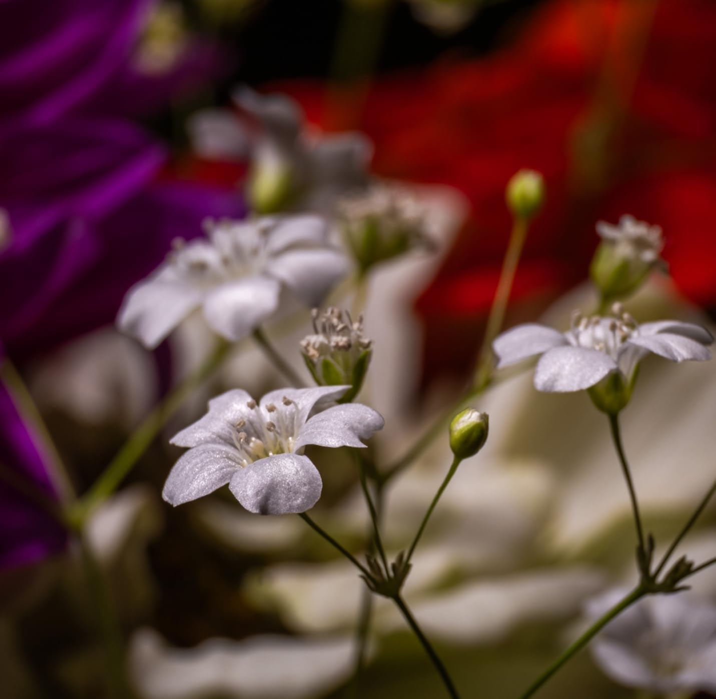 Godox LP400Bi Bicolor LED Video Light with Barndoor, 36W 2800K-6500K 6250Lux LED Panel Light with 11 FX Effects APP Control CRI/TLCI 96+ Dimmable 0-100% Studio Soft Light for Videography customer photo 1