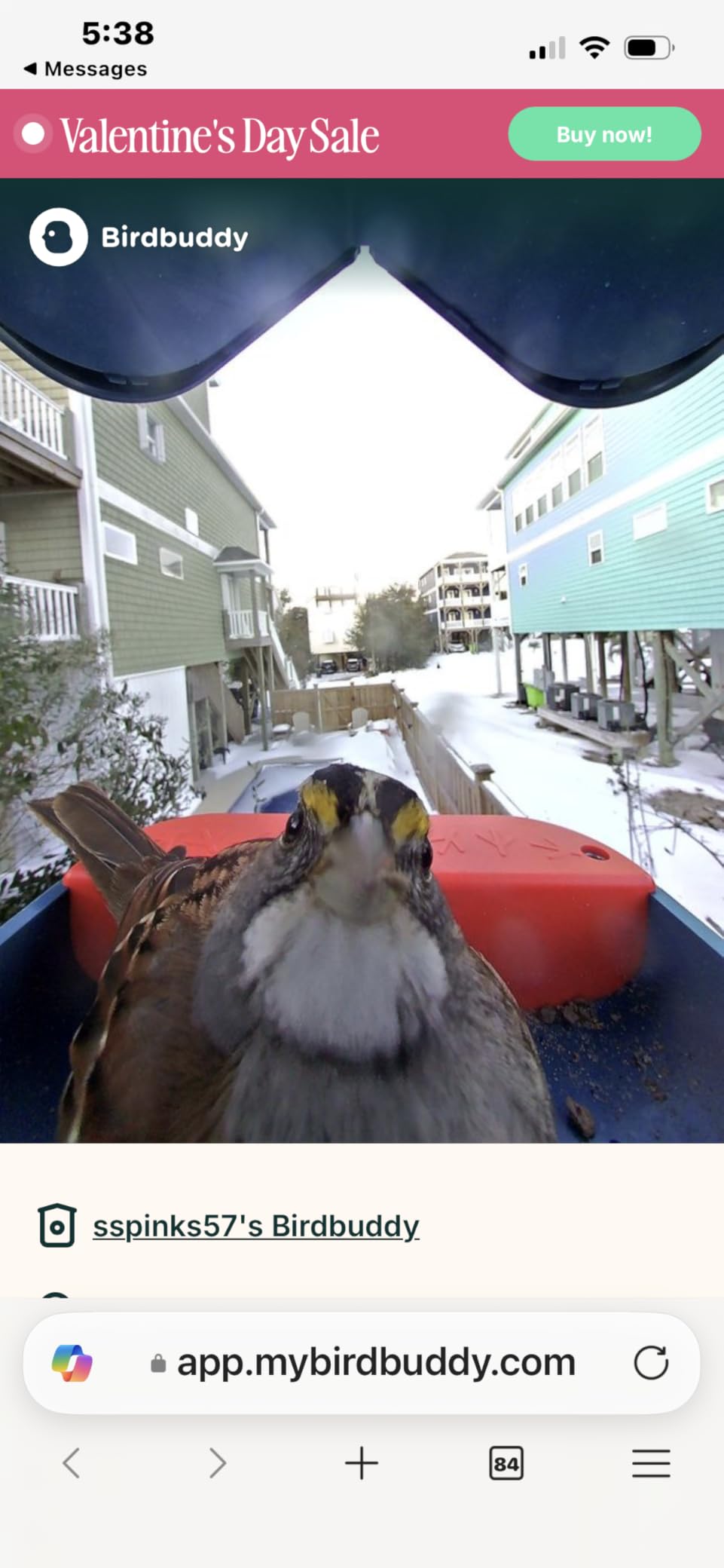 Birdbuddy PRO Solar Smart Bird Feeder with Camera - AI Bird Species Identification, 5MP Photos, 2K HD Video Live Stream Camera, Slow-Motion Video customer photo 2