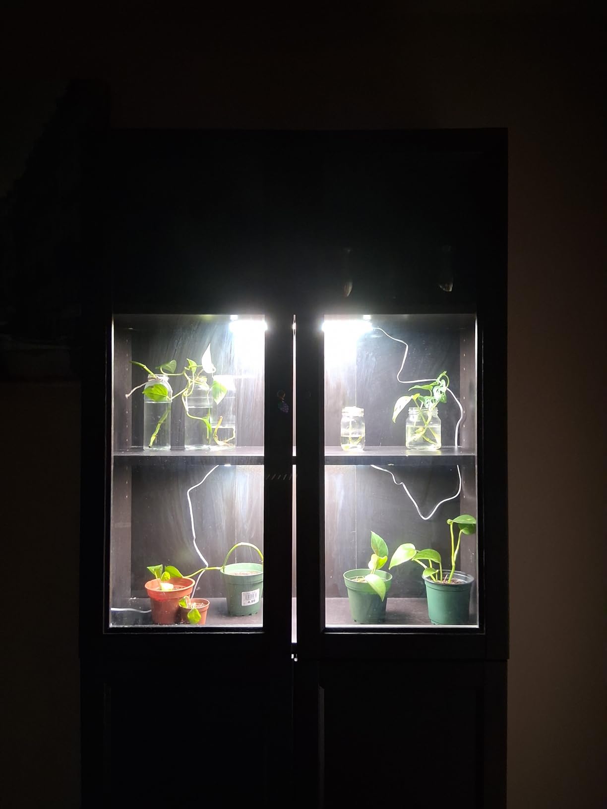 4-Pack Panel Grow Lights for Indoor Plants, FECiDA 2026 LED Plant Grow Light for Under Cabinet Plants, Full Spectrum Growing Lamp with 4,8,12,16,20 Hr Timer, Free Linking customer photo 2