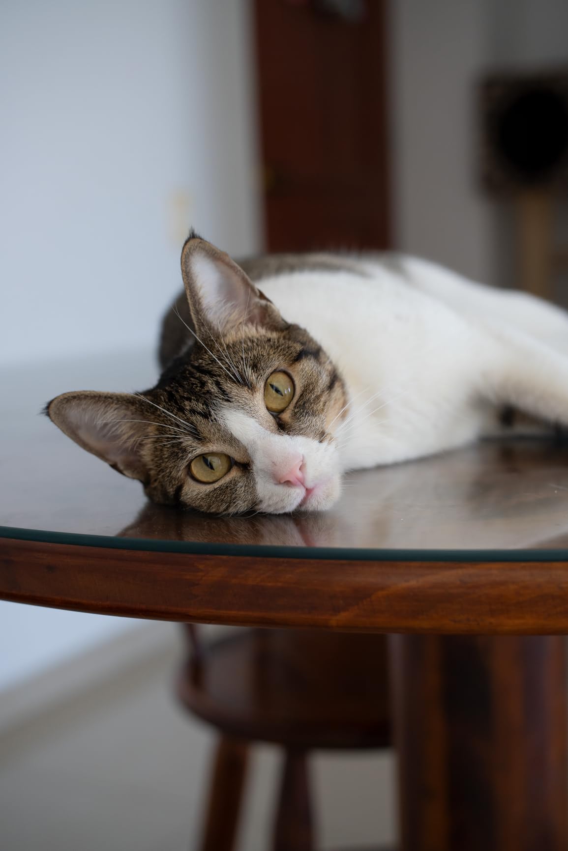 VILTROX 35mm f1.7 E Mount Lens for Sony customer photo 1