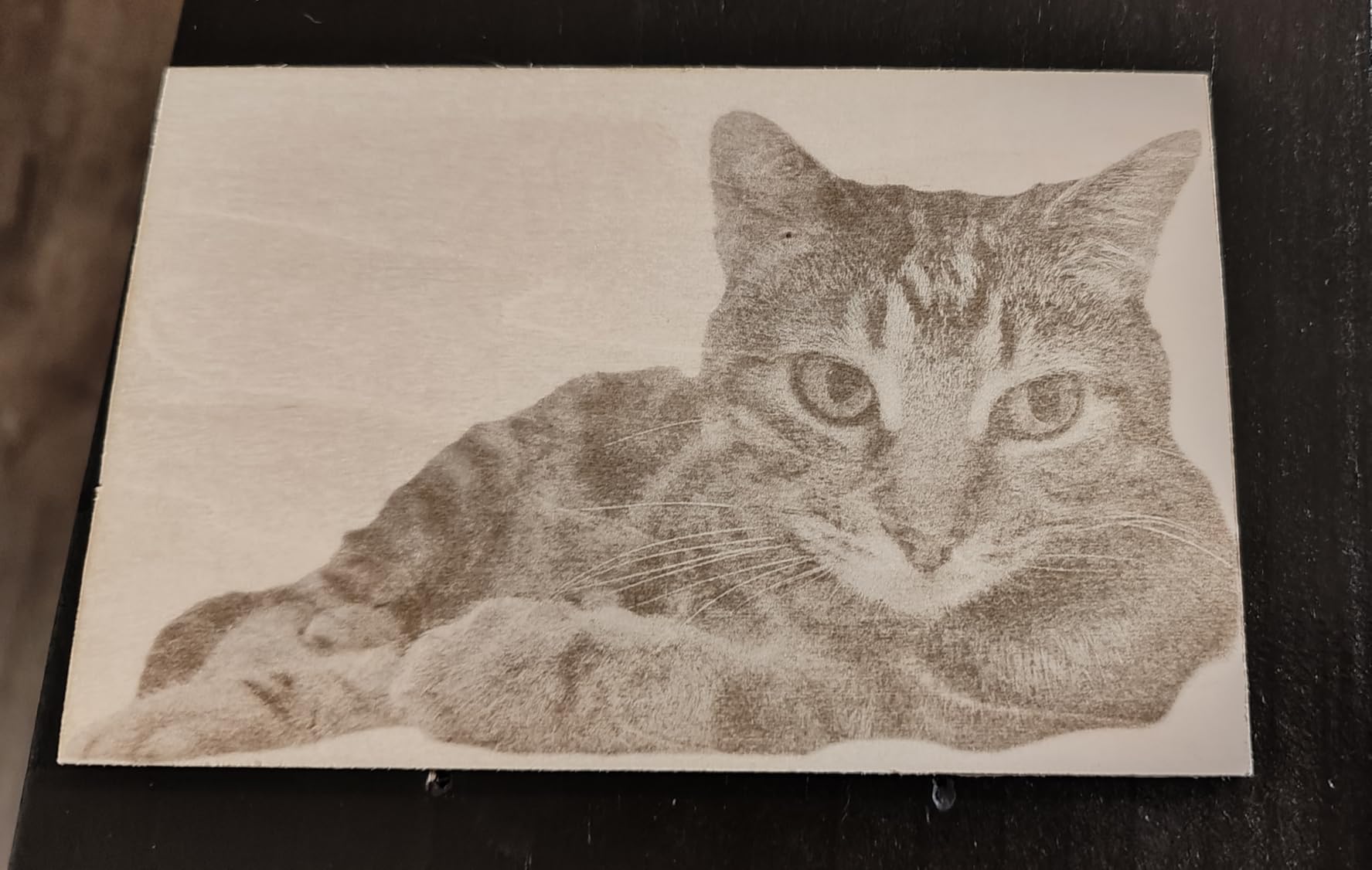 WECREAT Vista 10W Laser Engraving Machine with 9-in 1 Rotary, Smart HD Camera, Compact Diode Desktop Laser Engraver for Beginners DIY Hobbyist Wood Leather Glass Metal Jewelry Gifts Making customer photo 1