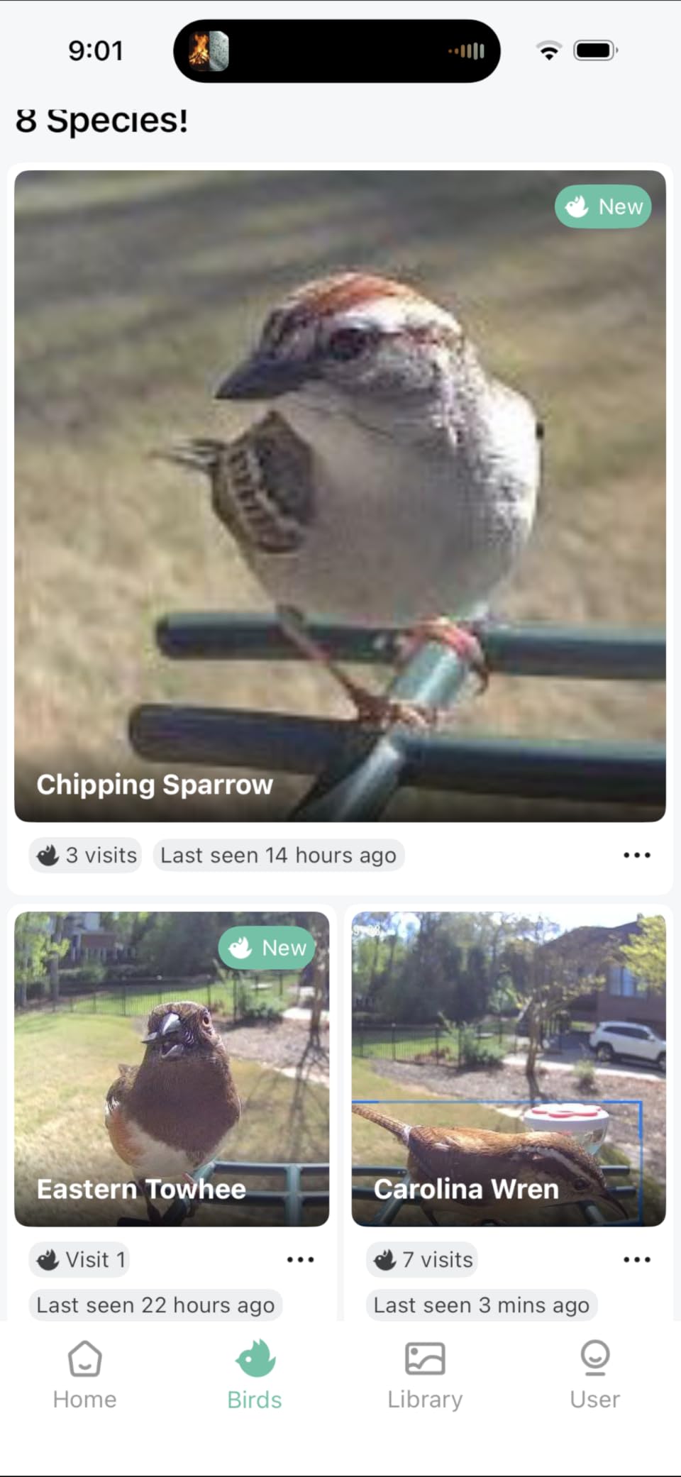 Smart Bird Feeder with Camera Solar Powered, 2K HD Video, AI Bird Species Identification, Instant Arrival Alerts, Weatherproof Design customer photo 1