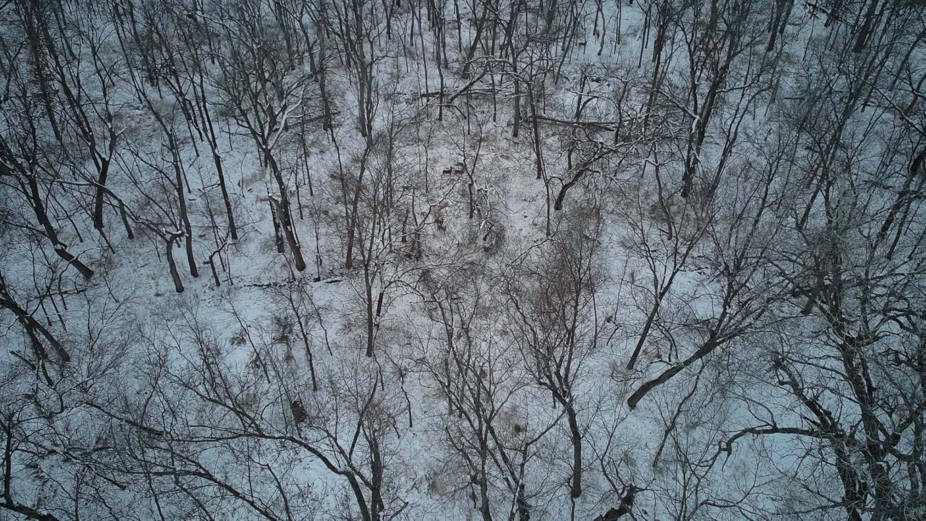 Autel Robotics EVO II Dual 640T Enterprise V3, 640*512 30Hz Thermal & 8