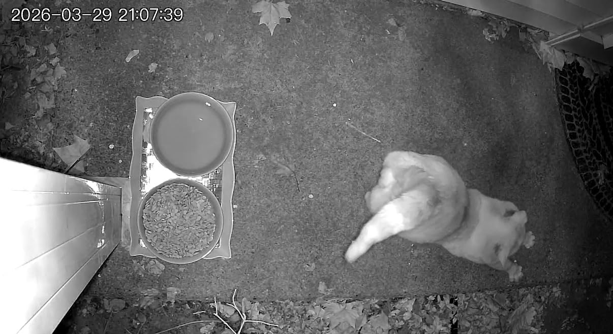 2026 Upgraded 2K Security Cameras Wireless Outdoor, Free Cloud Storage, 1-6 Months Battery Life, Waterproof, 2-Way Talk, AI Motion Detection Spotlight Siren Alarm customer photo 1