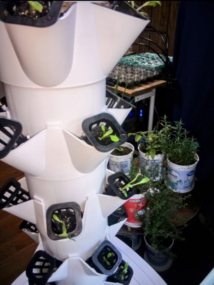 VEVOR Hydroponic Growing System, 30 Pods Vertical 6 Tiers Hydroponic Tower, Home Hydronic Garden with Water Pump & Timer customer photo 1