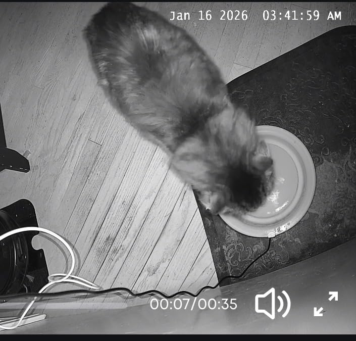 eufy Security 4K Indoor Camera E30 - No Subscription, 360° Pan Tilt, AI Auto Tracking, Color Night Vision, Pet/Baby/Nanny Camera with Two-Way Audio, AI Human/Pet Detection (2-Pack) customer photo 2