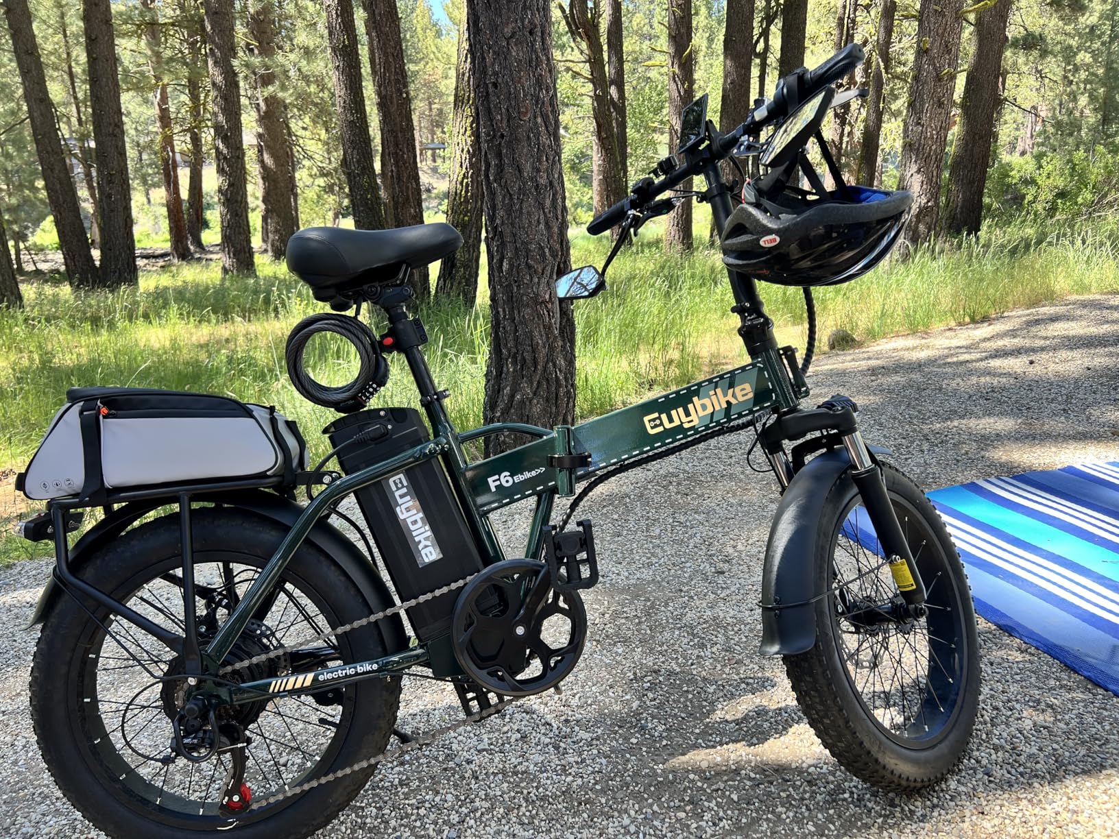 Foldable Electric Bike for Adults, 30+MPH, 48V 20Ah Removable Lithium Battery up to 80Miles, 20