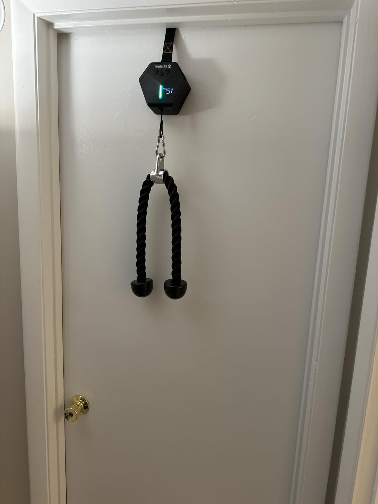 Smart Home Gym - Portable Equipment with Digital Resistance 7-66 lbs, Single Motor Electronic Cable Machine customer photo 1