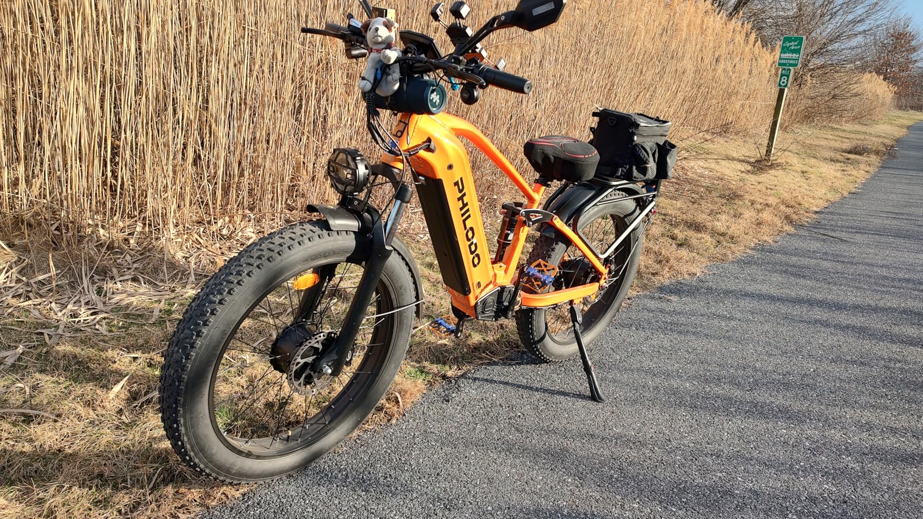 PHILODO Falcon 60V 32AH Off-Road Electric Bike - 5000W Dual Motor Hunting Ebike, Fat Tire Full Suspension Dirt Bike for Adults, Long Range Snow/Sand Electric Bicycle customer photo 1