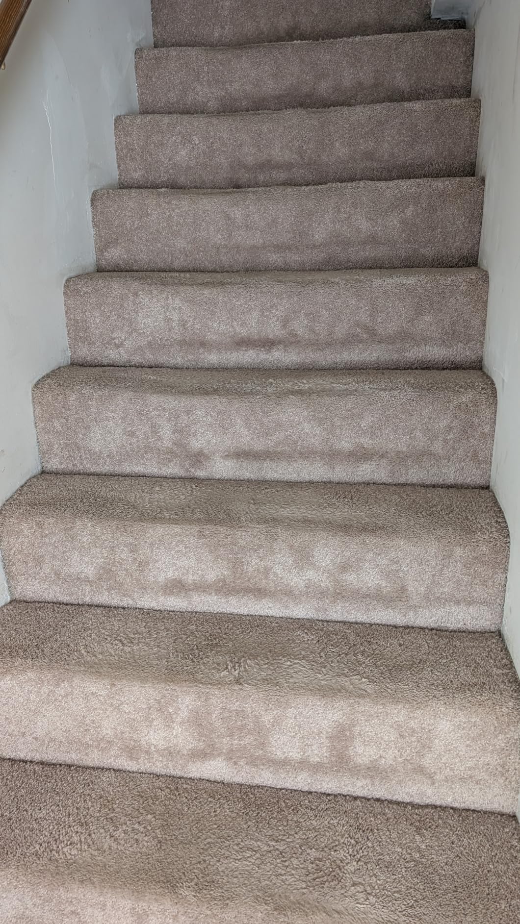 Shark PowerPro Reveal Plus Cordless Vacuum, FloorDetect & Dirt-Reveal Technology, HEPA Filter, Carpet & Hard Floor customer photo 2