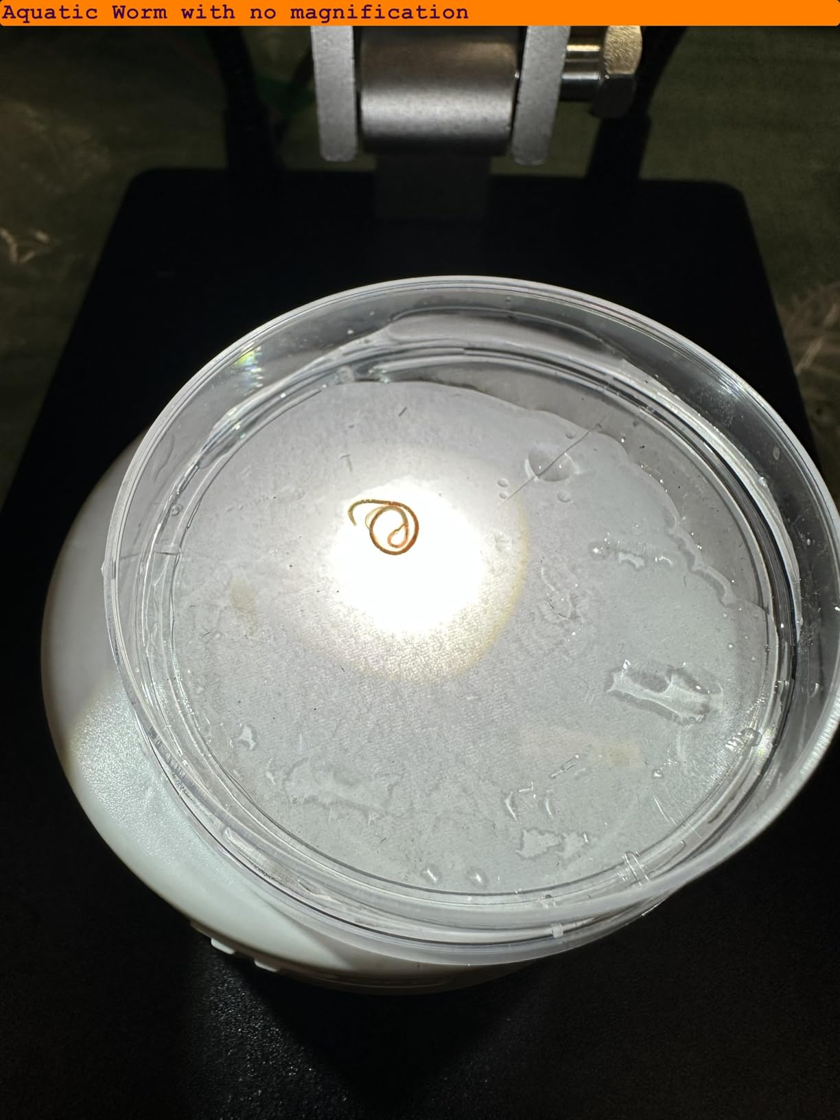 Elikliv 4K 3-Lens Digital Microscope: TL301-Magnetic Coin Microscope Magnifier Full Coin View, Soldering Microscope for Adults with 7