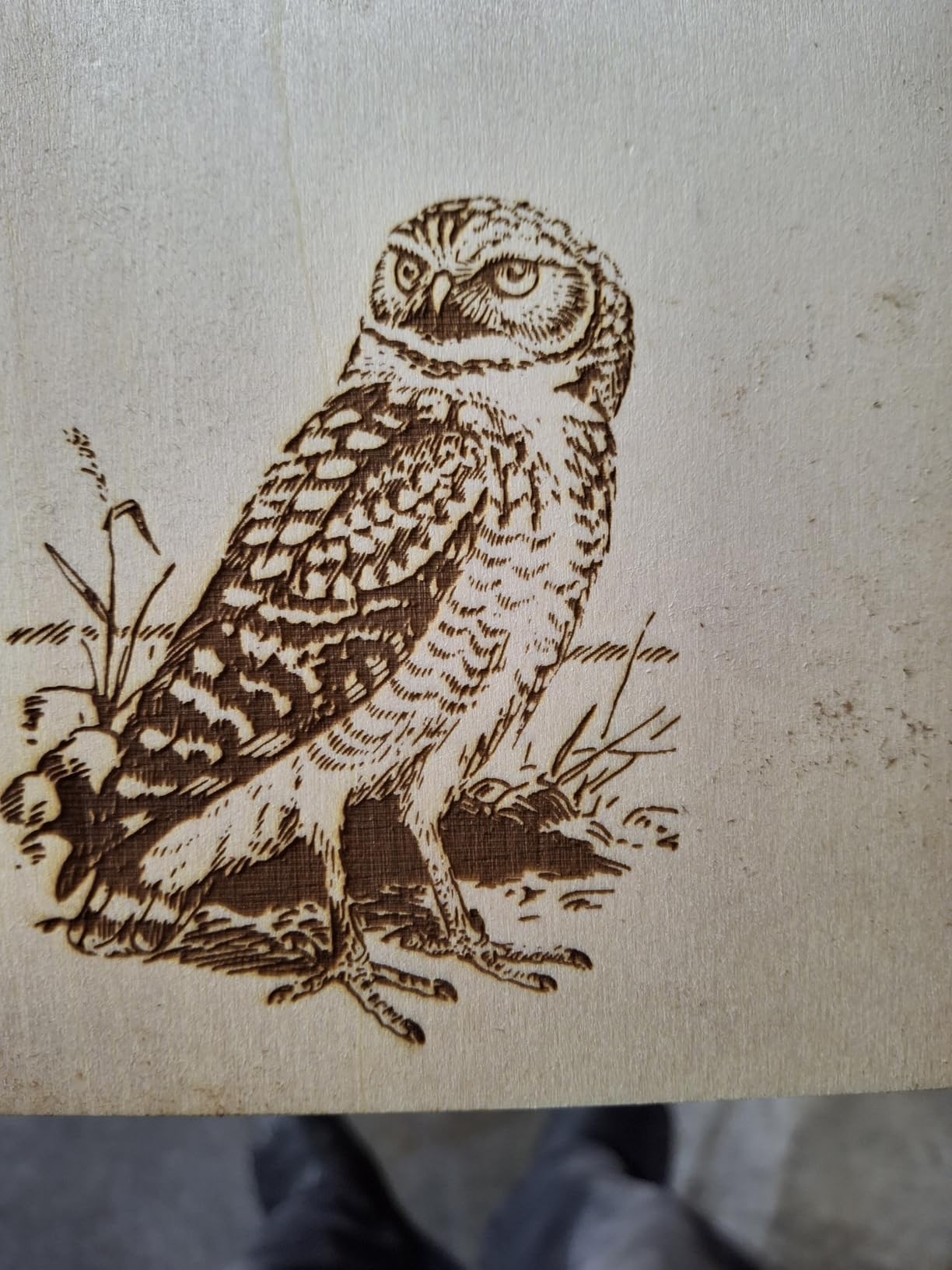 ATOMSTACK Swift 12W Laser Engraver, Swift 12W Laser Cutter, 0.06mm High Accuracy Laser Engraving Machine for Wood and Metal, Dark Acrylic, Glass, Leather customer photo 1