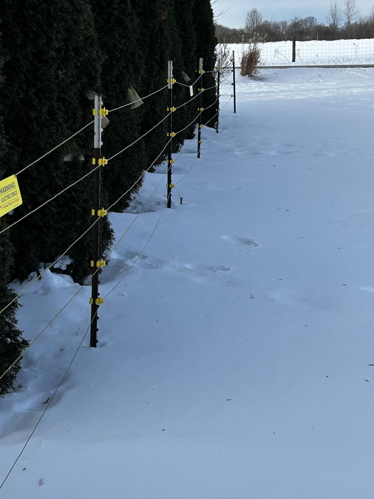 VEVOR Multi-Powered Electric Fence Charger, 2J/3J/5J Adjustable Output, Real-Time LED Display, 6.2 Miles Range customer photo 1