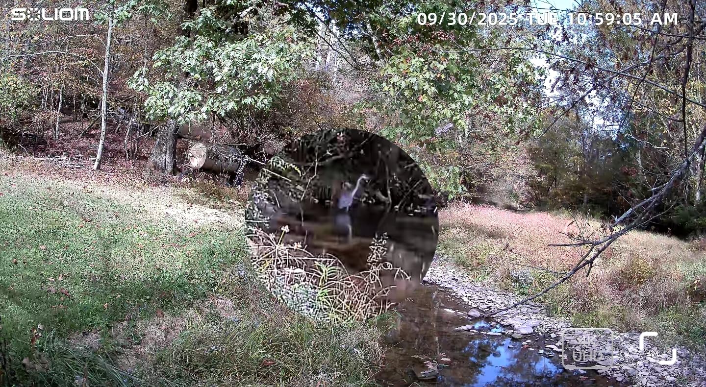 SOLIOM Security Cameras Wireless Outdoor, 4K Ultra HD for Day and Night, No Subscription, Built in Radar, Solar Powered Cameras for Home Security, 360° Pan Tilt Auto Tracking, 5G & 2.4G WiFi, 4-Cam Kit customer photo 1