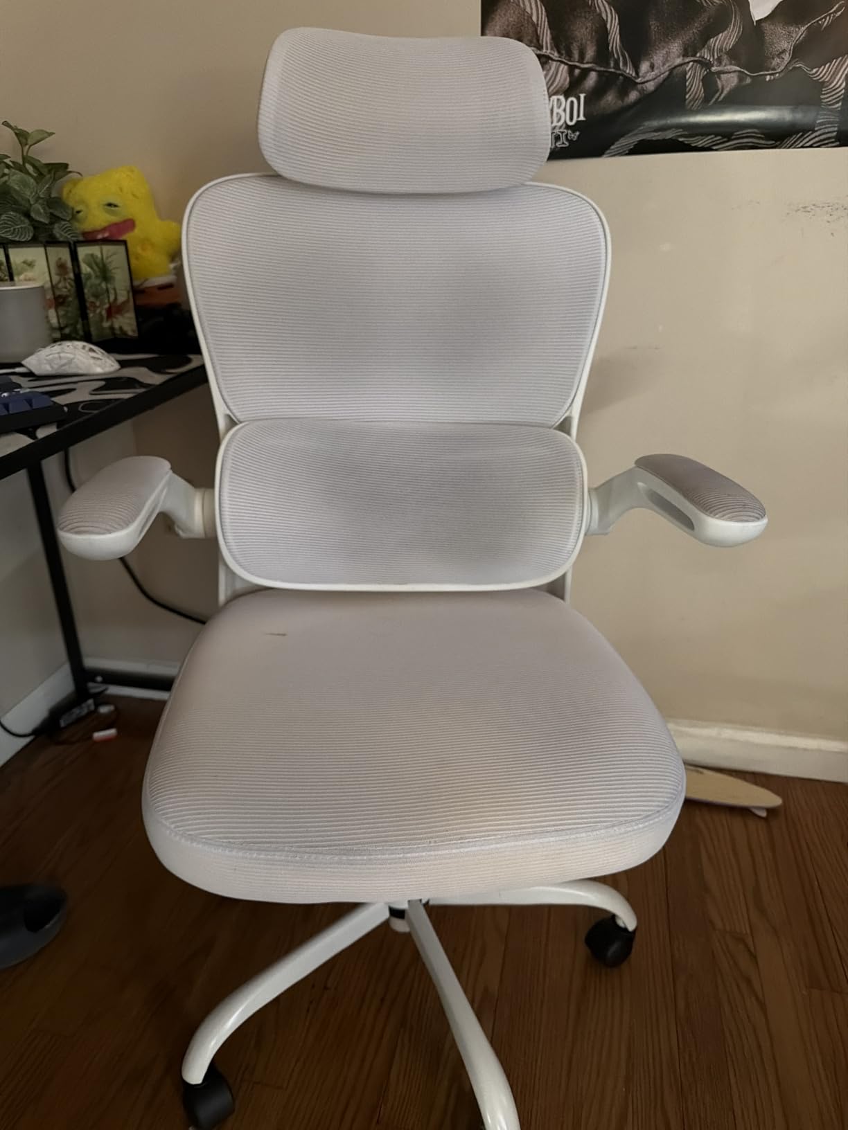 AreShark Office Chair Ergonomic Desk Chairs with Adjustable Lumbar Support & Headrest Hanger, High Back Breathable Mesh Chair with Wheels, Rolling Swivel Comfy Task Computer Chair for Home Work Gaming customer photo 2