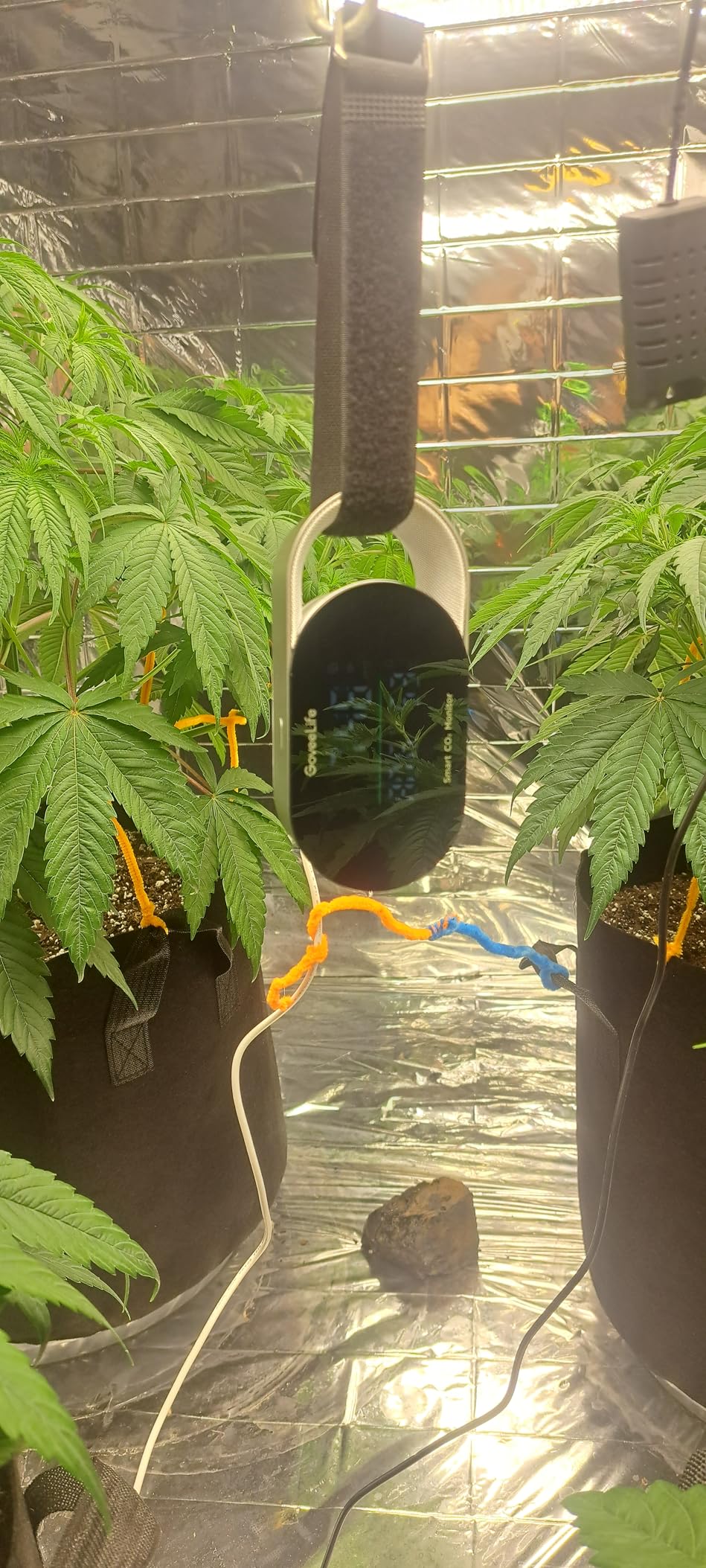 GoveeLife Smart Air Quality Monitor for Home, CO2 Detector for Health, Sleep Quality & Energy Efficiency, Thermometer Hygrometer with Real-Time Display & Alarm customer photo 1