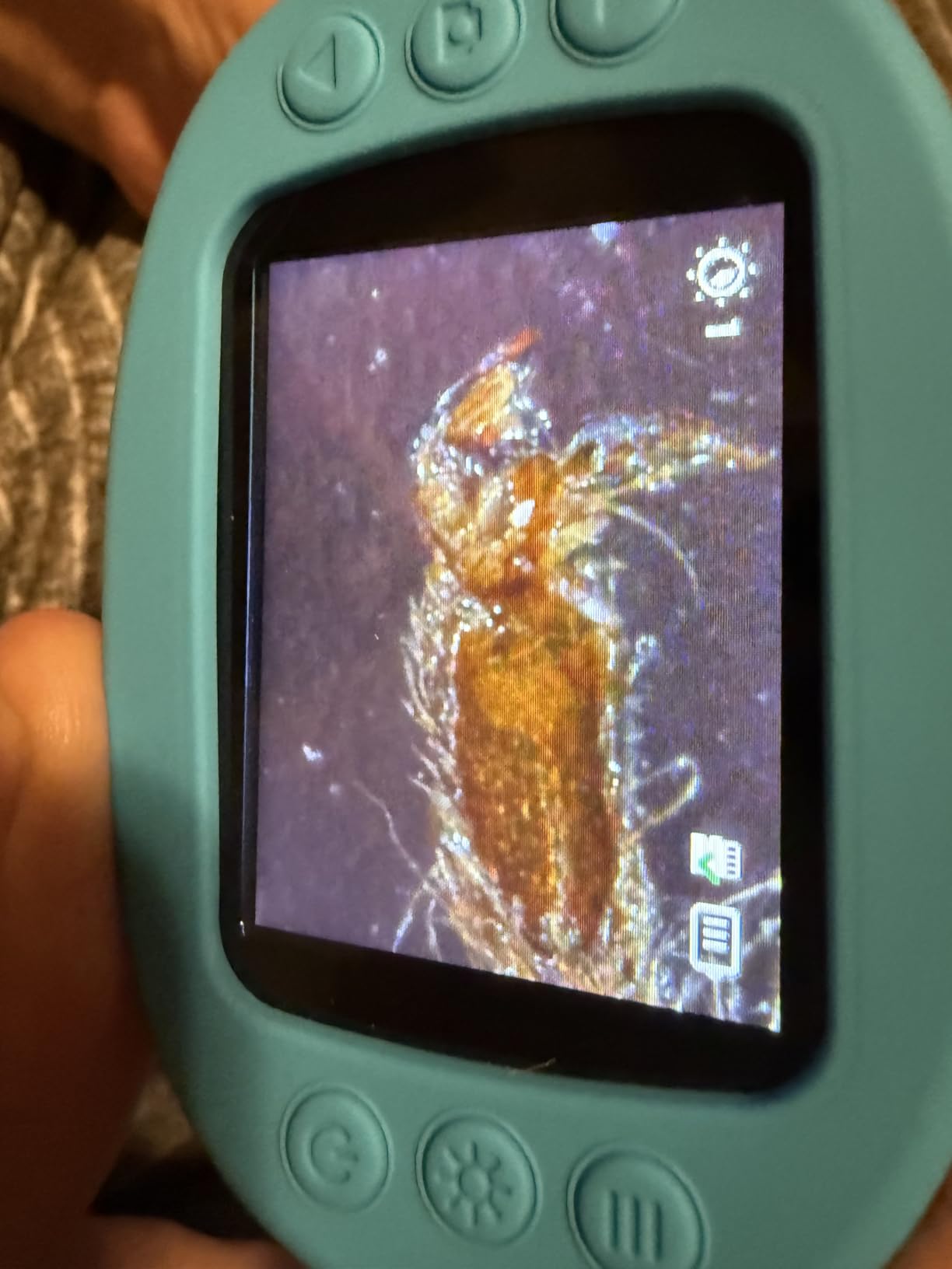 1000X Handheld Microscope for Kids, 4K 2.4