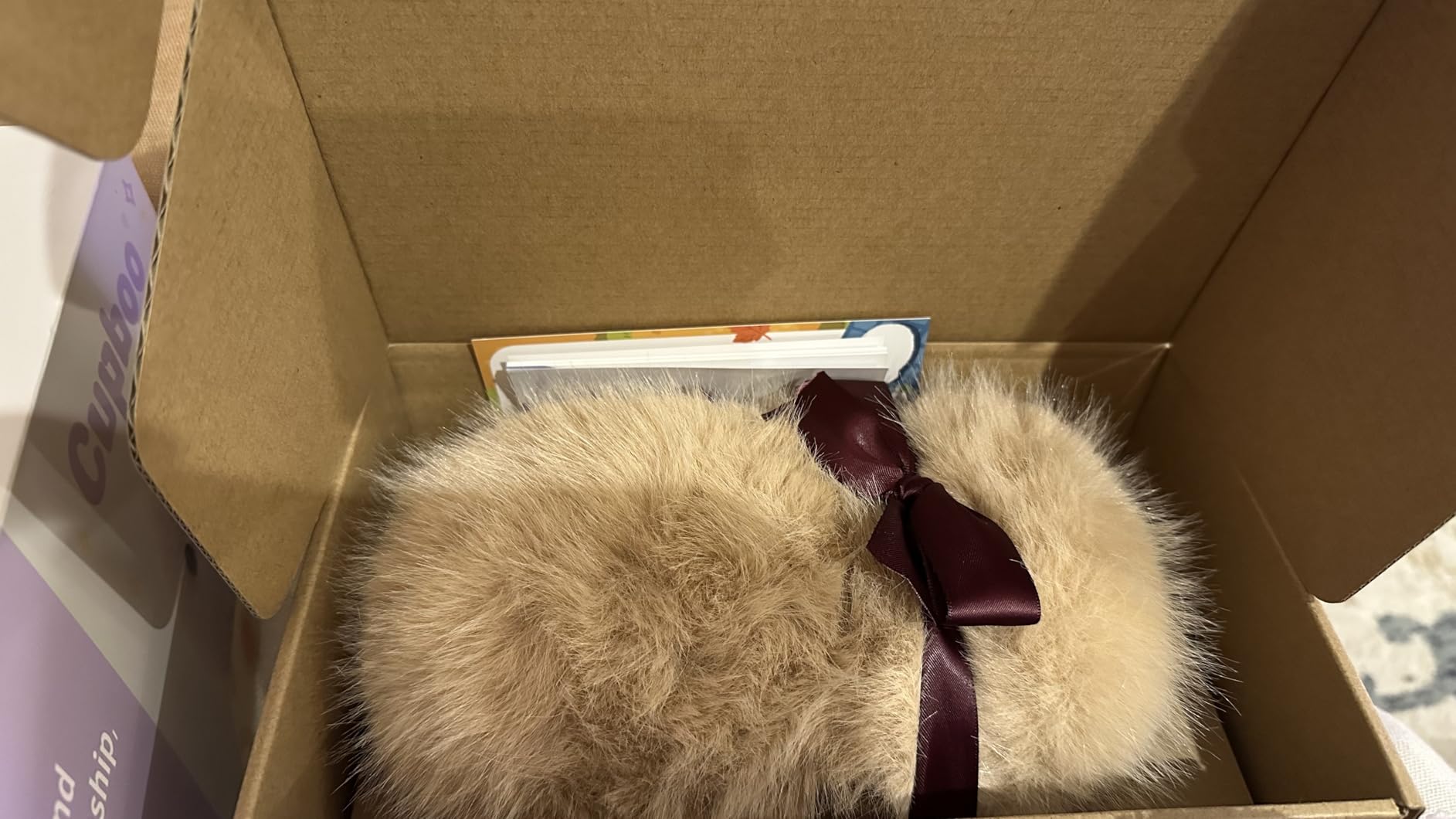 Interactive AI Plush Companion Pet- Privacy Safe Smart Adaptive Learning Emotional Support Robot Pets, Anxiety Relief Comfort| Ideal Toy Gift for All Occasion(Beige) customer photo 1