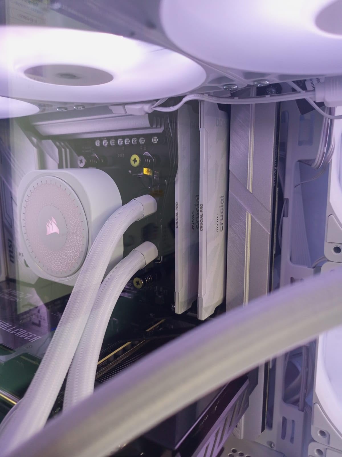 Crucial Pro DDR5 RAM 32GB Kit (2x16GB) 6400MHz CL32 Overclocking Desktop Gaming Memory - White customer photo 2