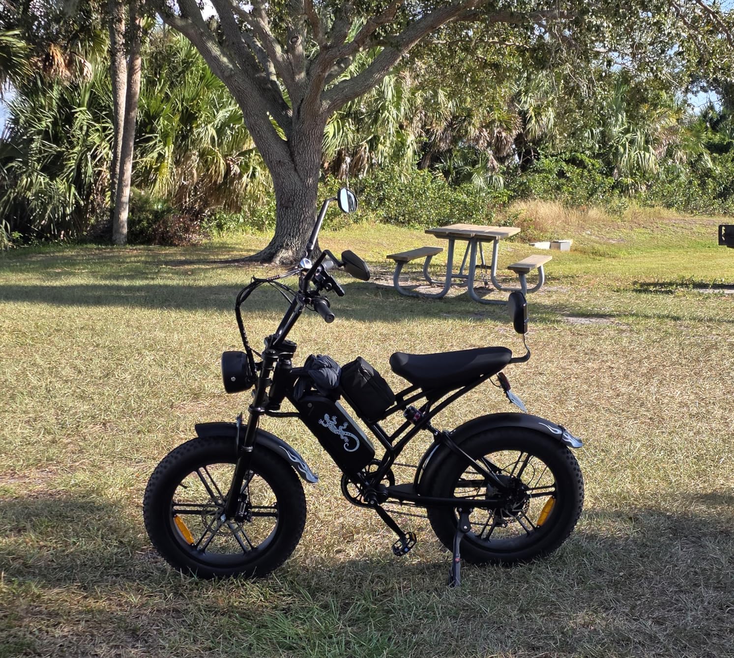 Electric Mountain Bike for Adults, 1500W Peak Motor Ebike, 28 MPH and 60 Miles PAS Range, 20 Inch Fat Tire Dirt E Bike for All-Terrain, 7 Speed, Electric Bicycles with 48V 15Ah Removable Battery customer photo 2