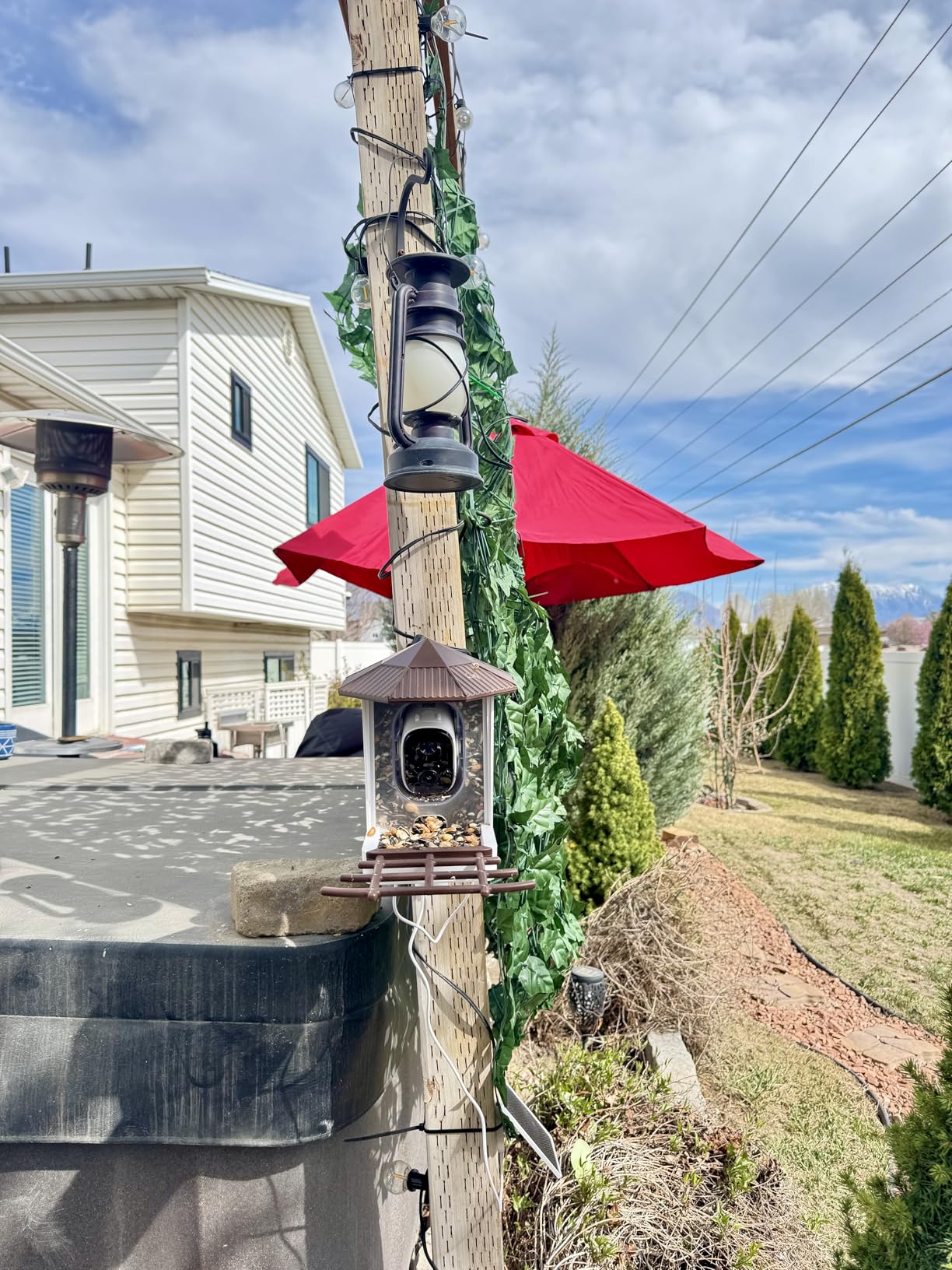 wansview Bird Feeder with Camera-Smart Bird Feeders for Outdoors Solar Powered, Birdhouse with Cam & Alert, 2K HD Live Video, AI Identify Species customer photo 2