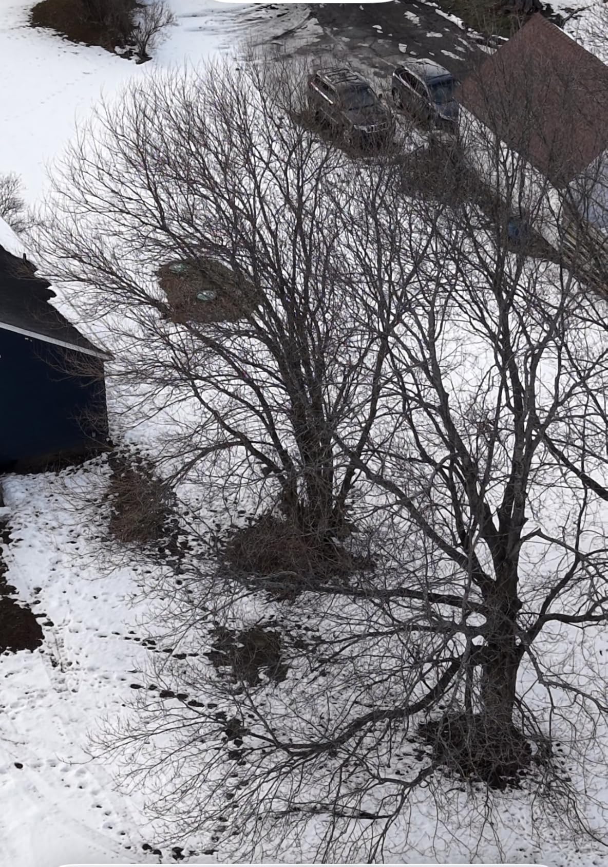 DJI Avata 2 Fly Smart Combo (Three Batteries), FPV Drone with Camera 4K, Immersive Experience, One-Push Acrobatics, Built-in Propeller Guard, 155° FOV customer photo 2