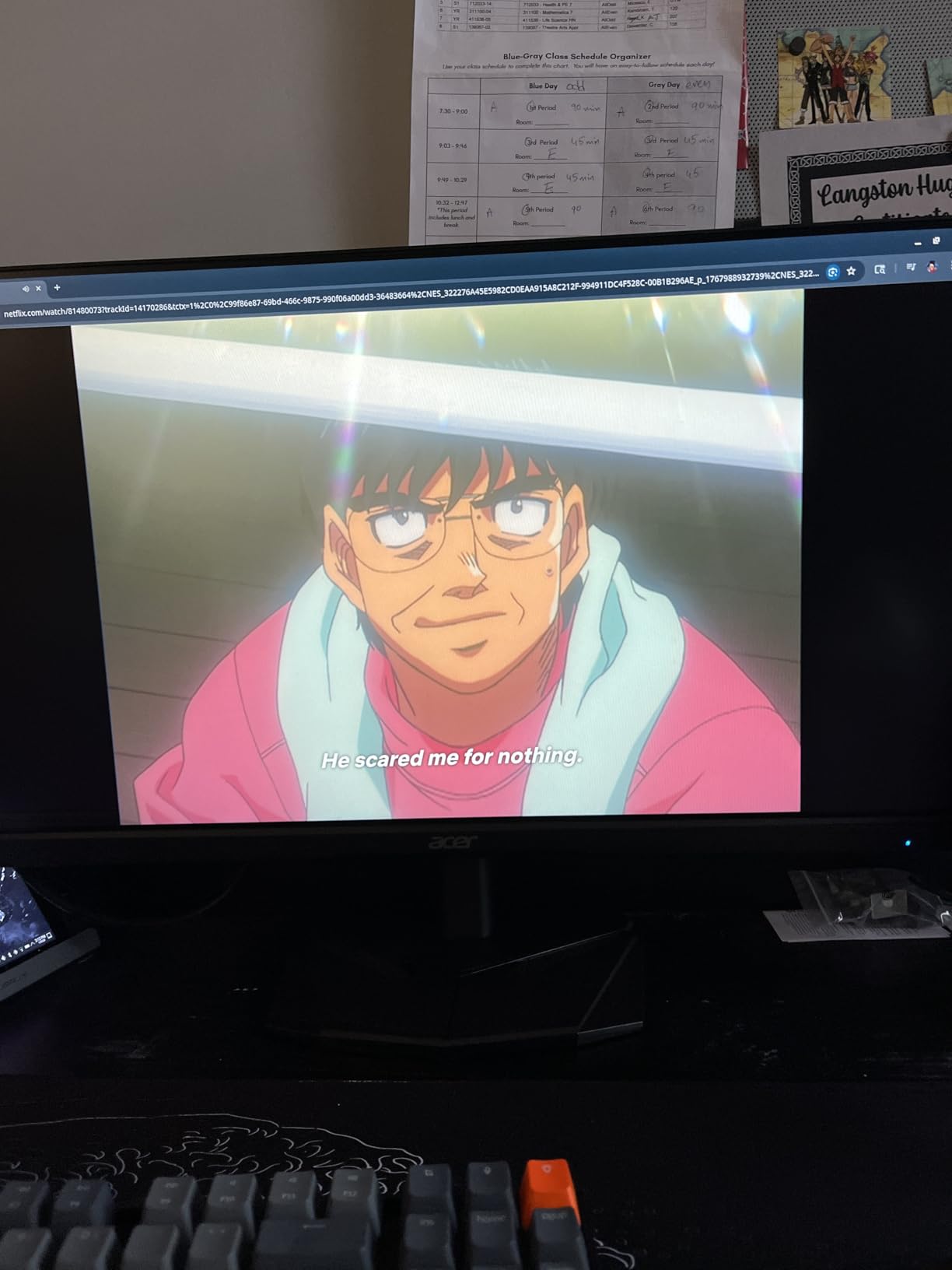Acer Nitro 24.5