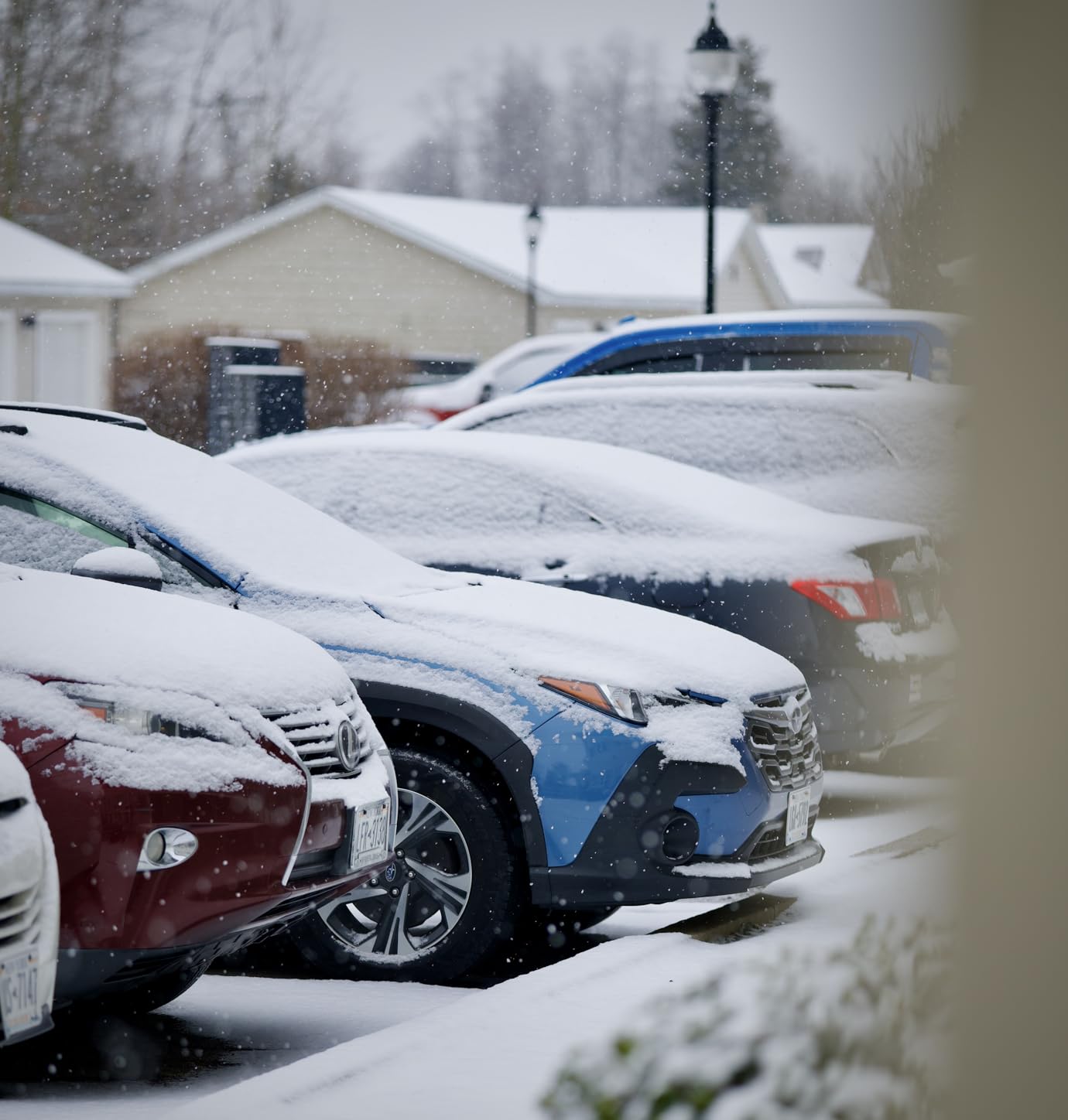 VILTROX 85mm F2 EVO FE Portrait Lens for Sony E-Mount customer photo 2